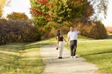 A couple holding hands, walking along a vibrant autumn path.