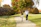 Outdoor photo of a happy couple walking hand in hand through a sunlit park in autumn.
