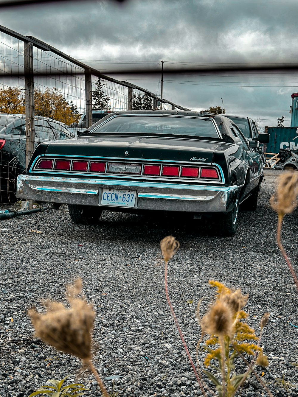 a car parked in a lot with chickens around it