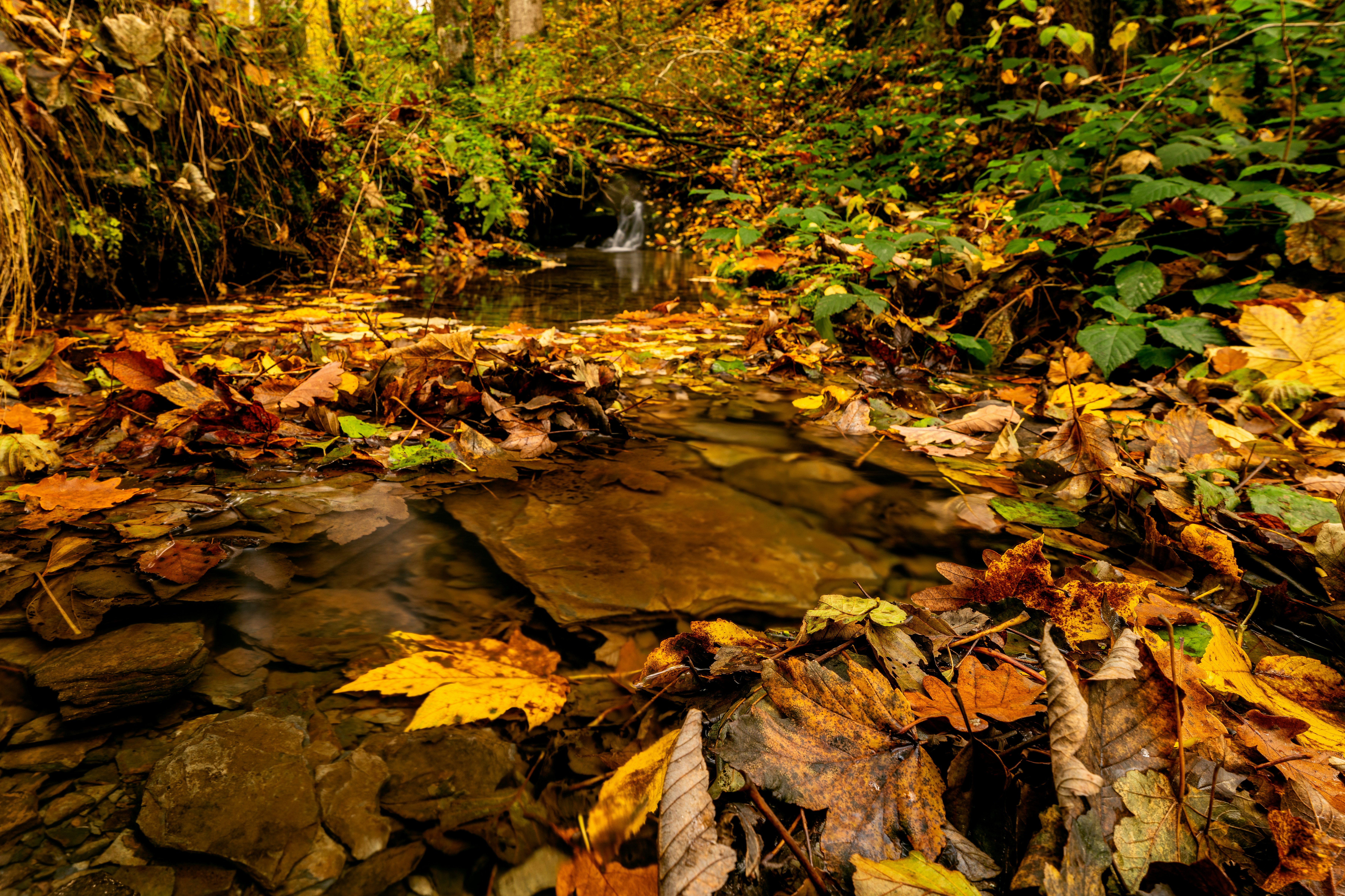 Photo by picture_scape