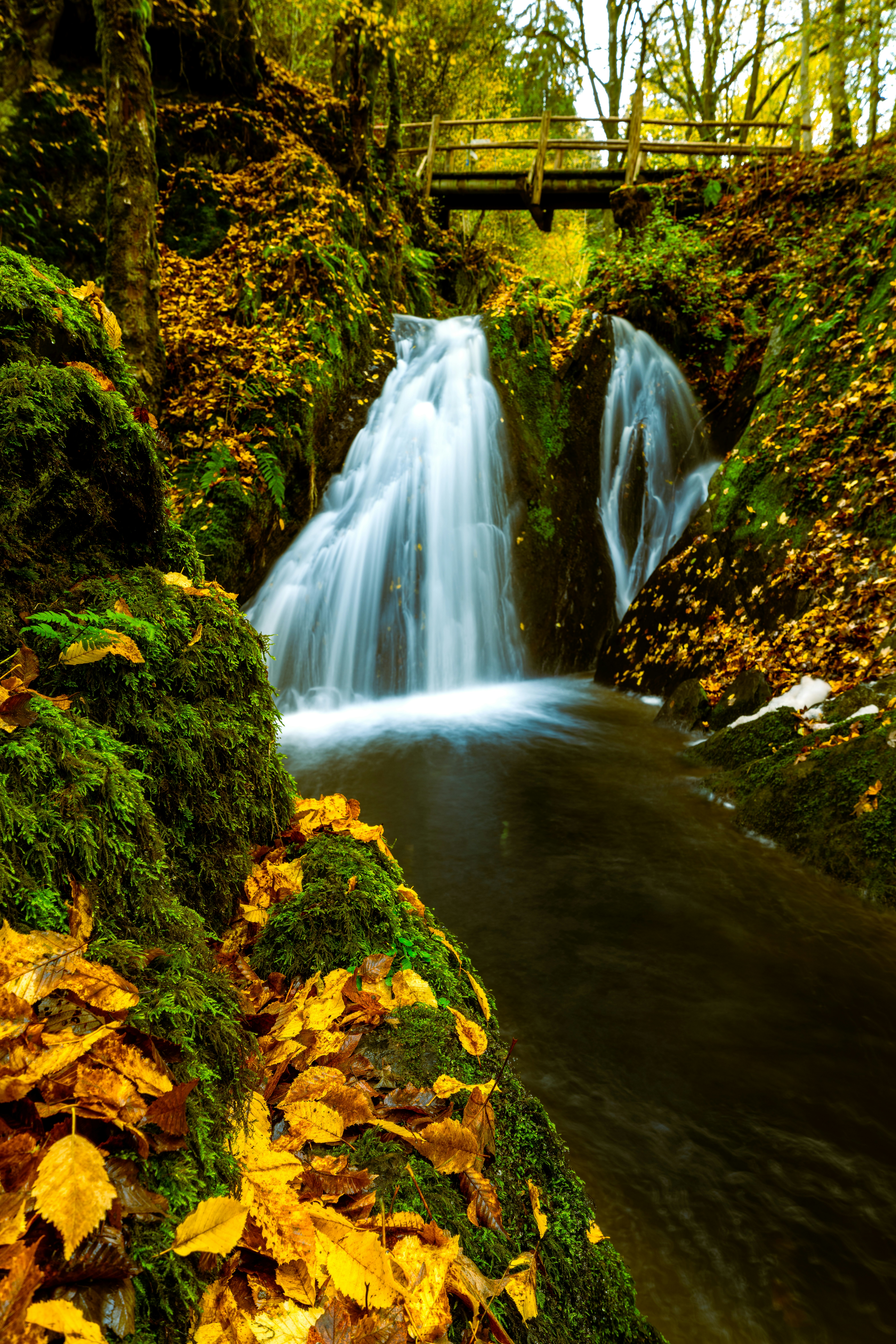 Photo by picture_scape