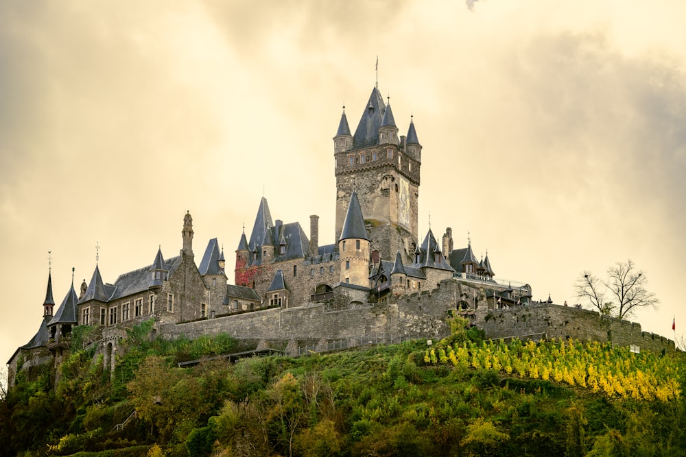 Un castillo en una colina