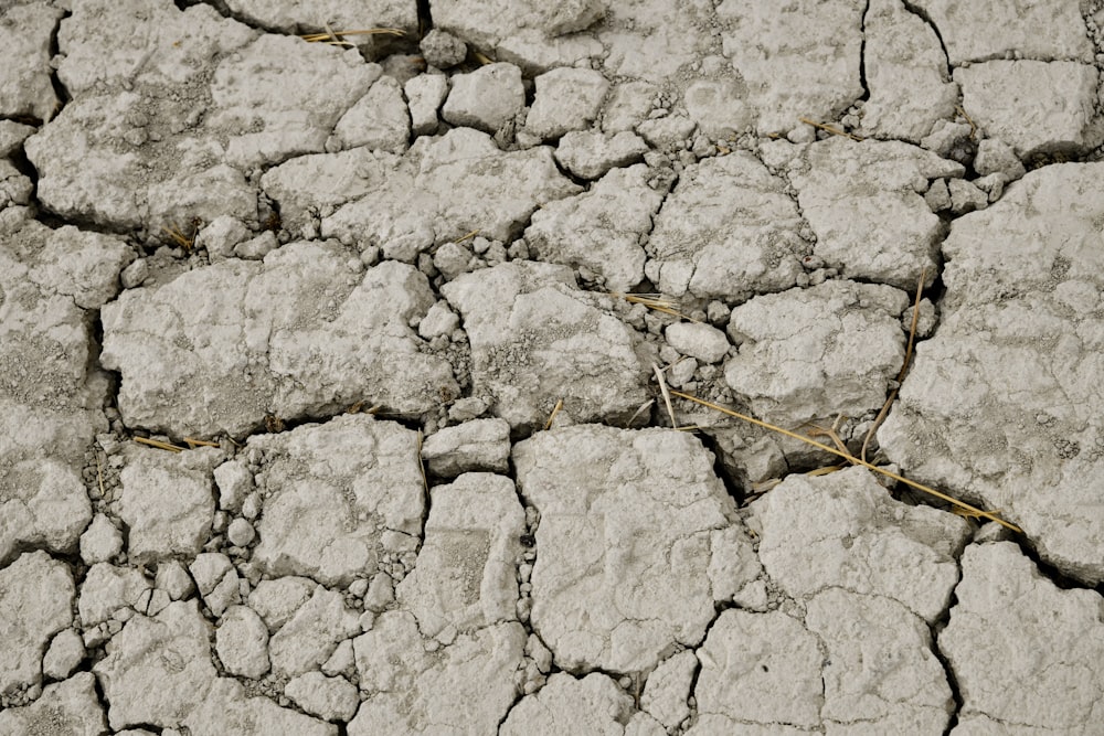 un gros plan d’un sol sec fissuré