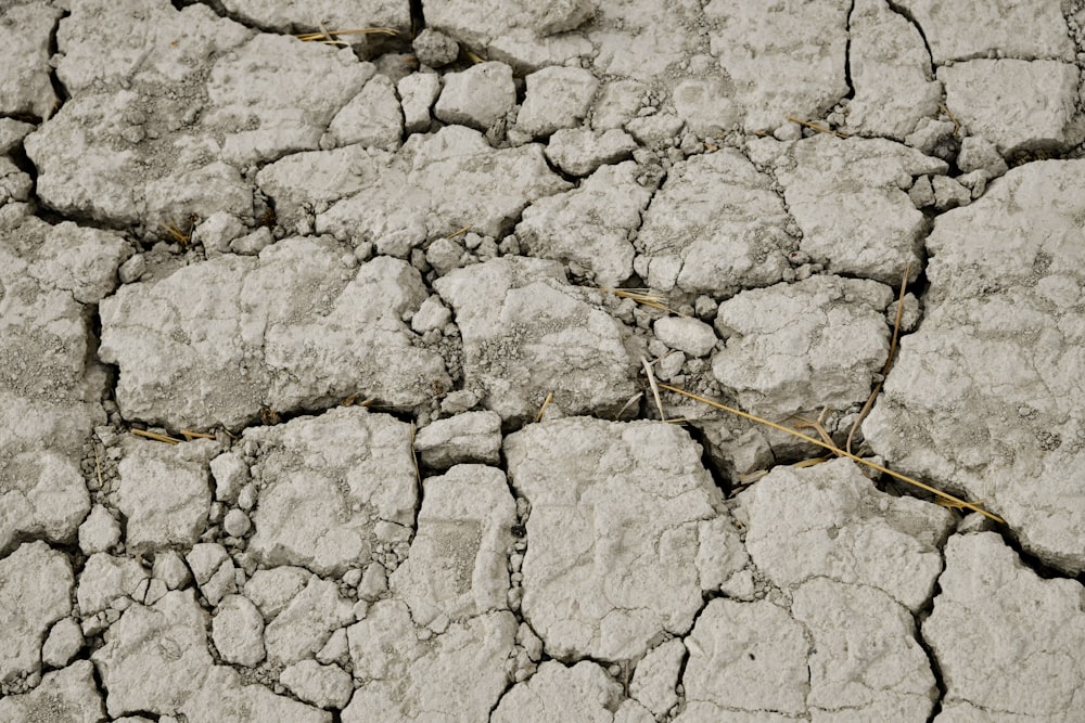 Un primer plano de un suelo seco y agrietado