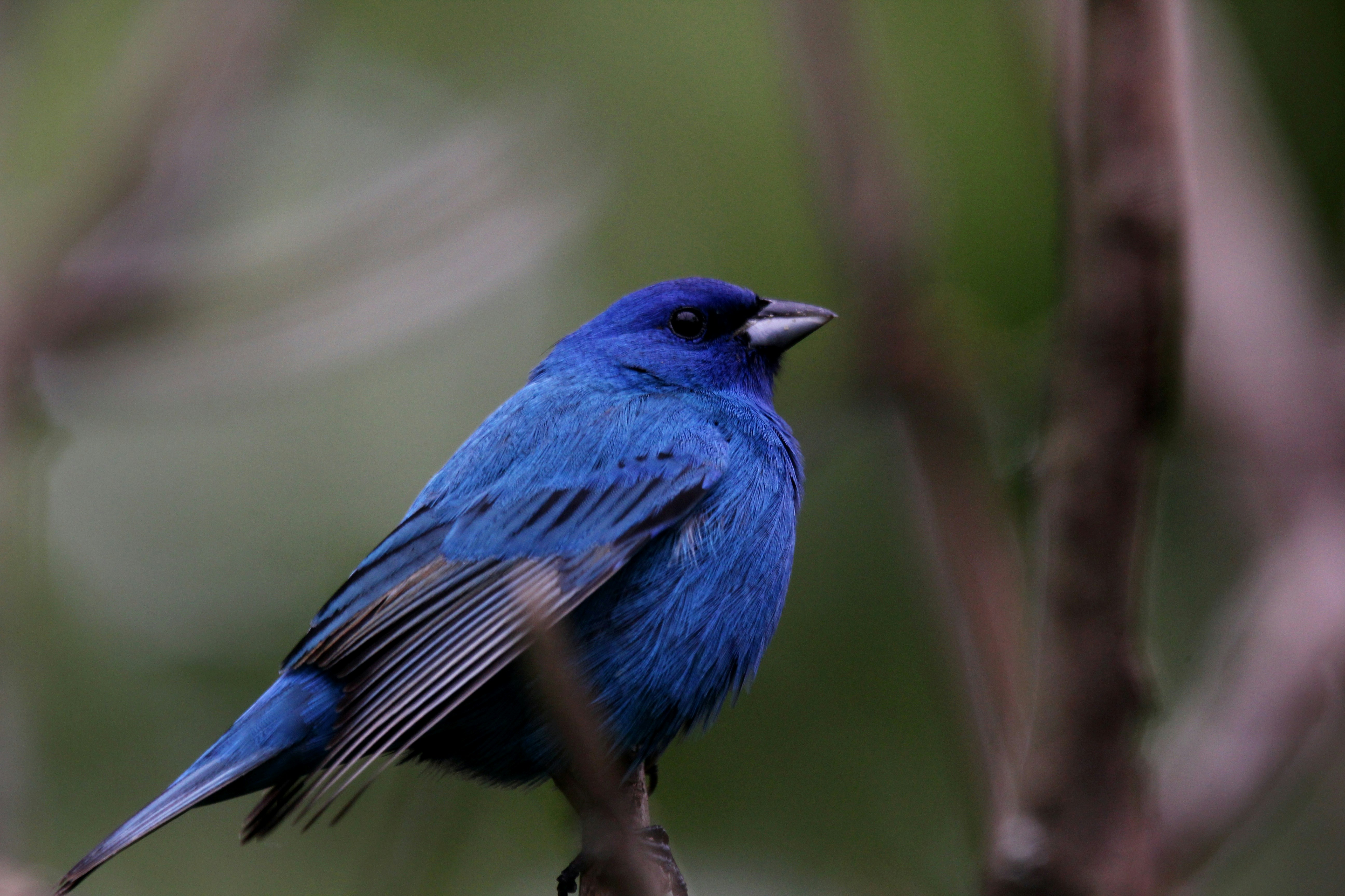 Photo by naturelensephotographer