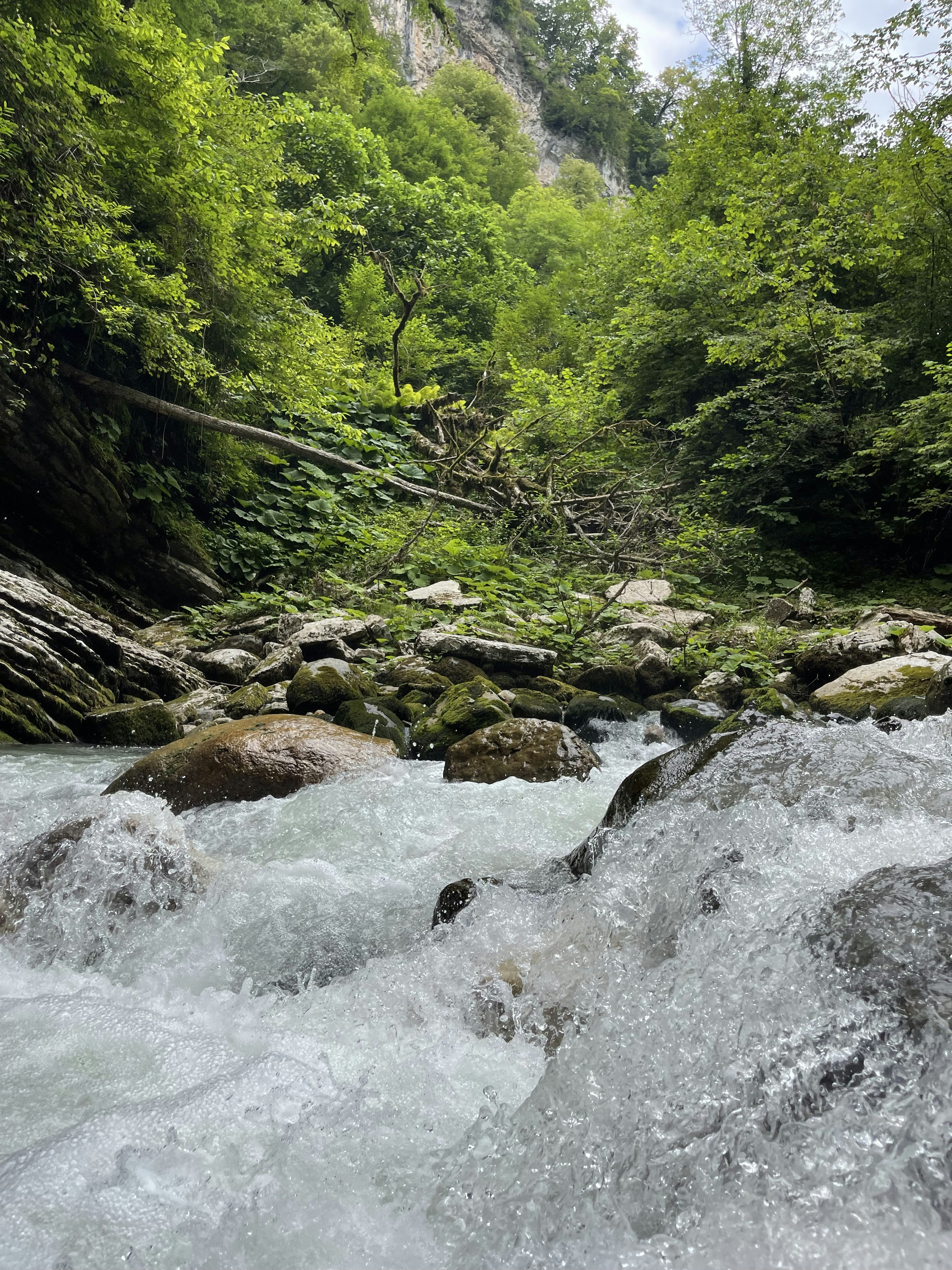 Photo by callmeelena