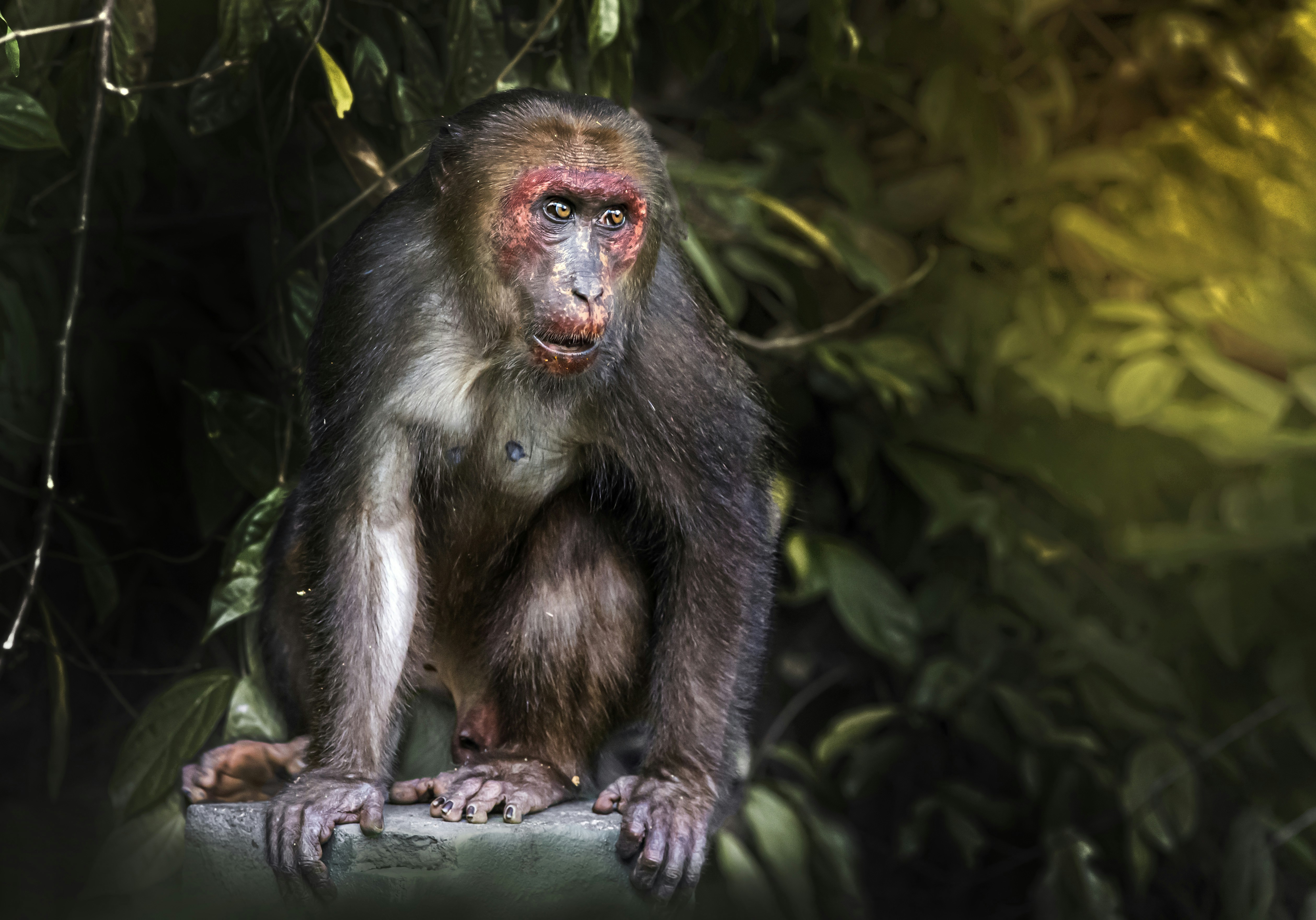 Photo by erik_karits