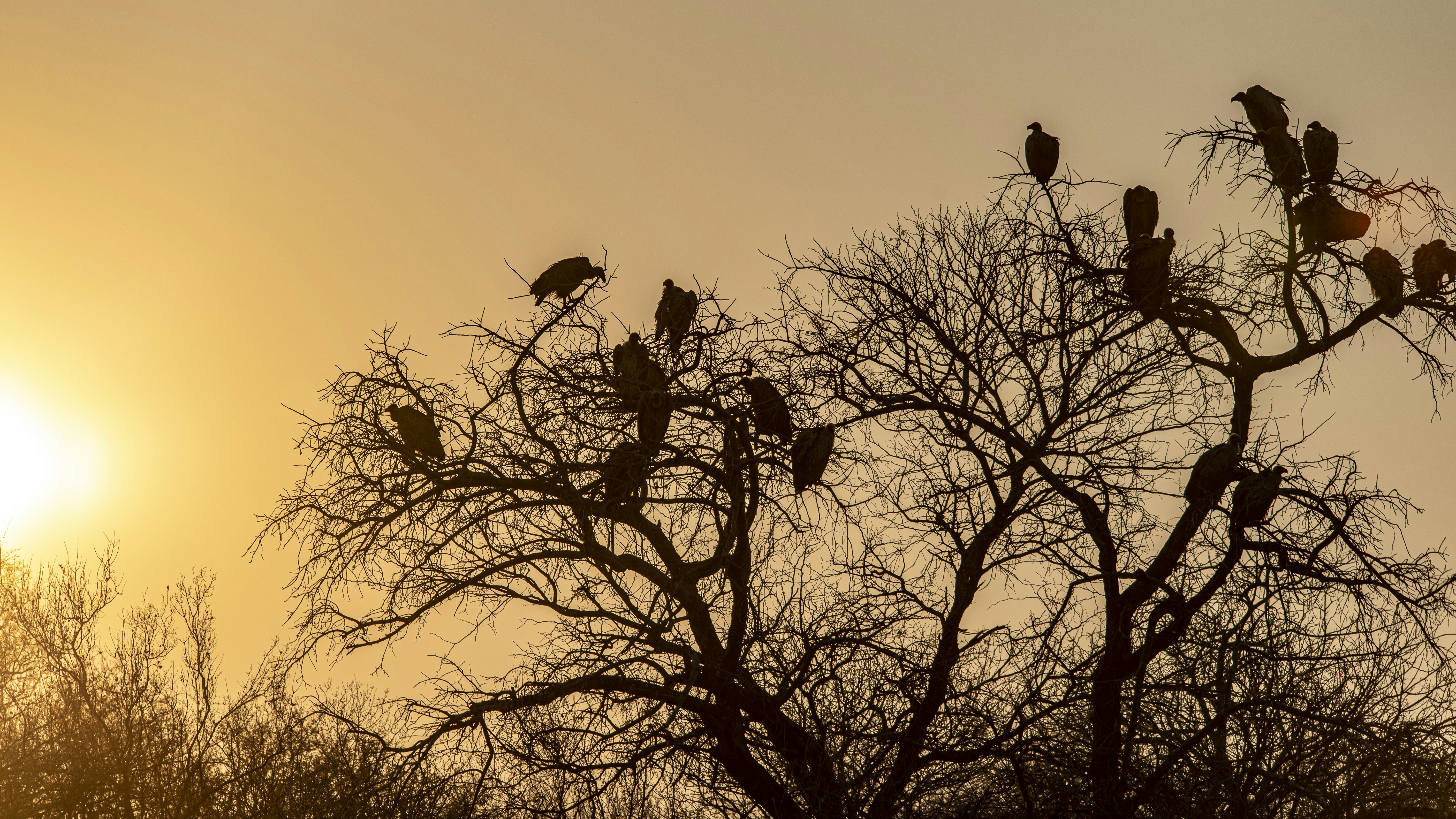 Photo by stewardesign