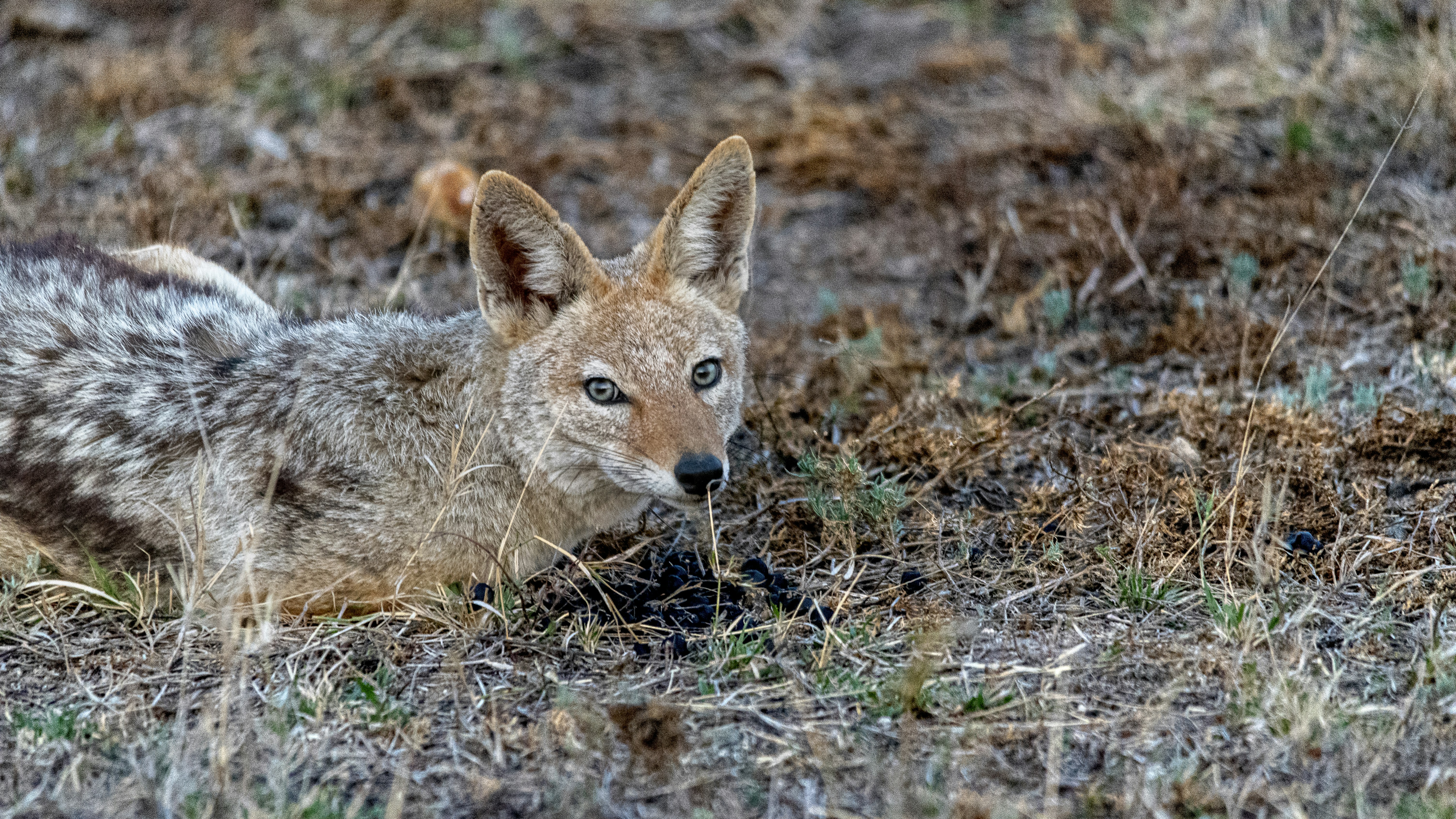 Photo by stewardesign