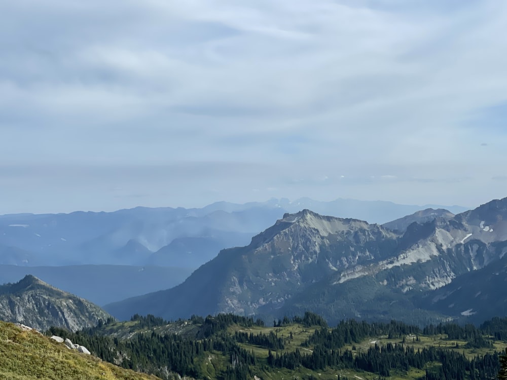 a mountain range with trees