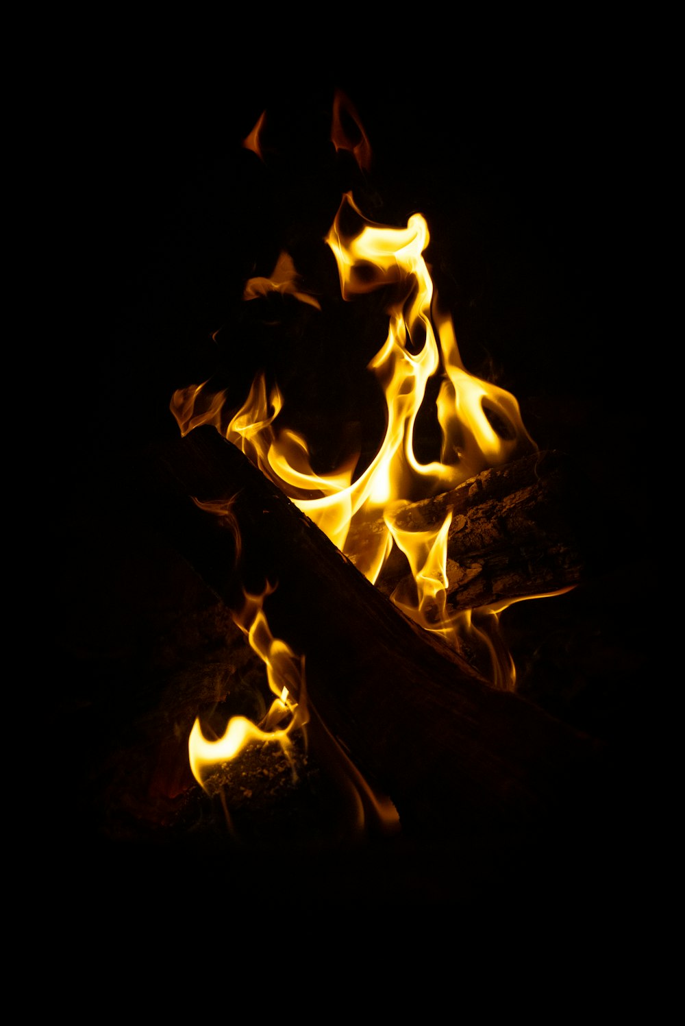 a close-up of a fire