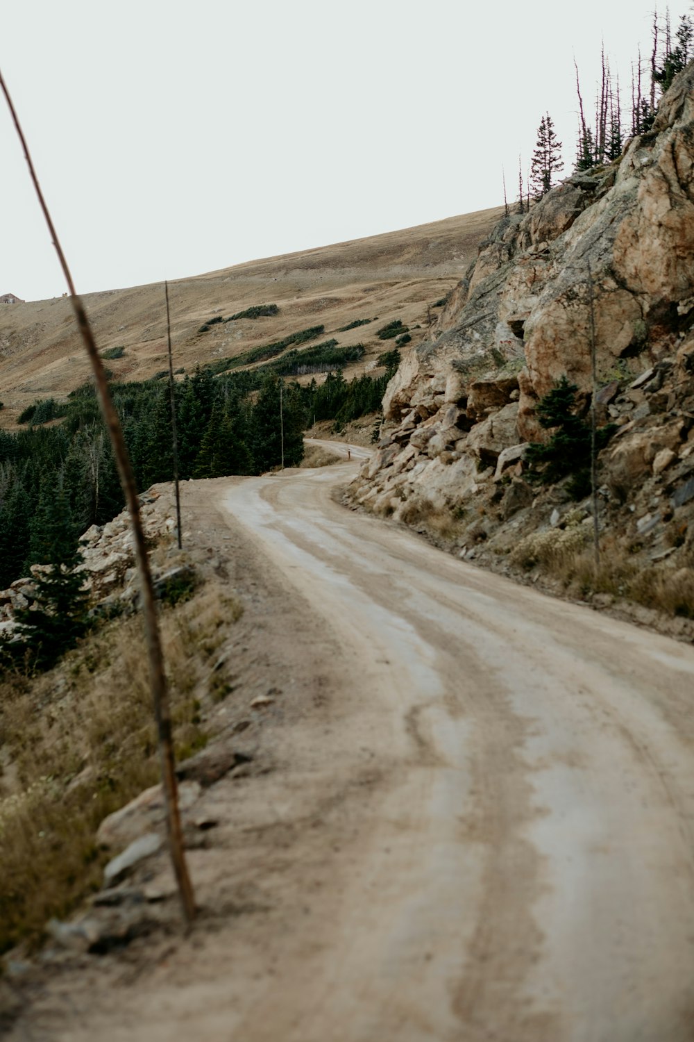 a dirt road with trees on the side