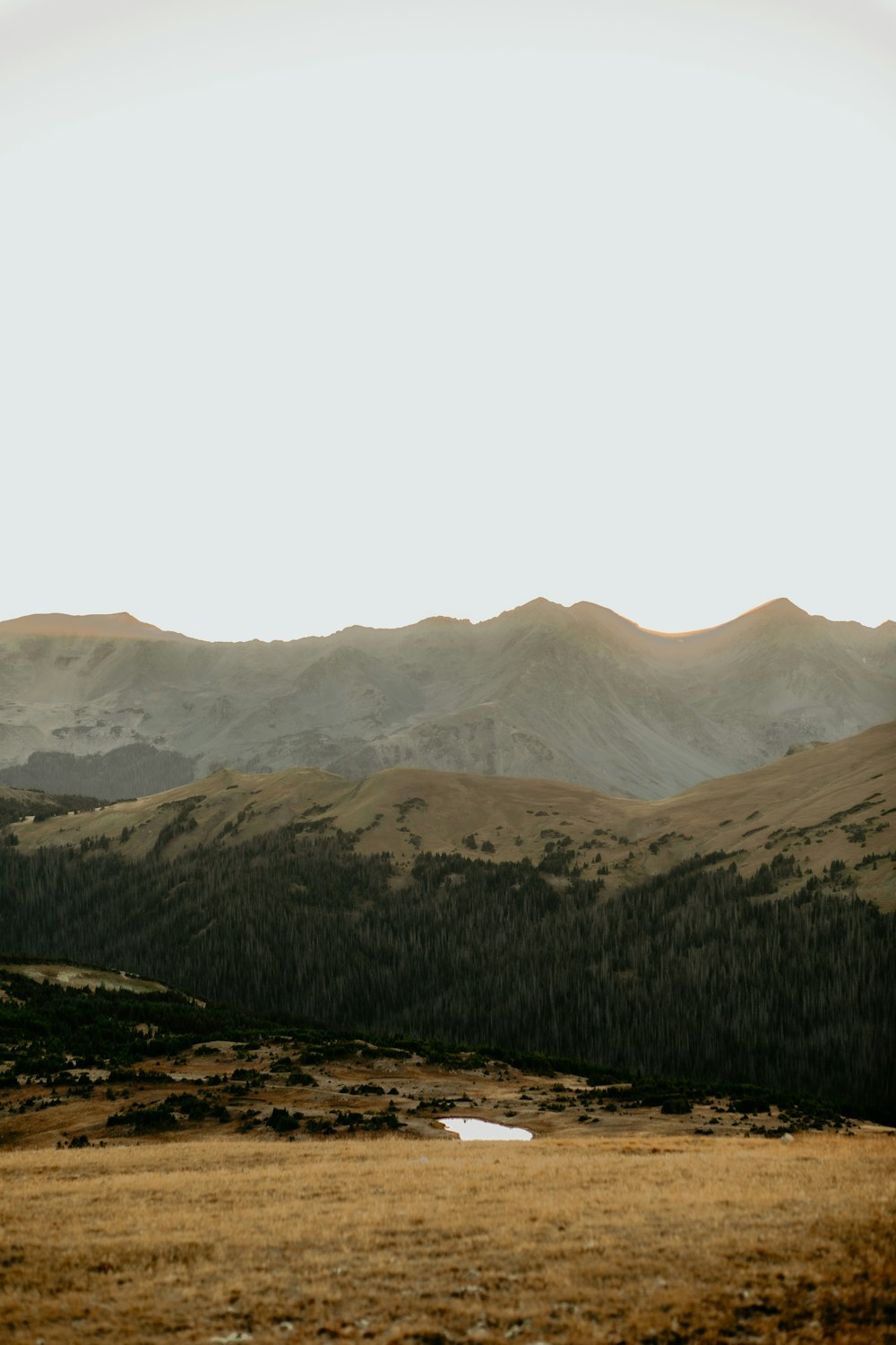 a landscape with hills and trees