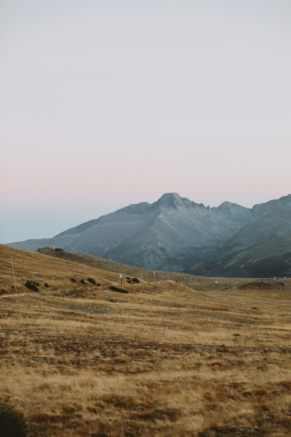 a field with a mountain in the background