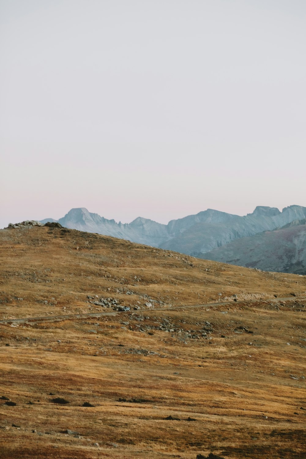 a landscape with mountains in the back