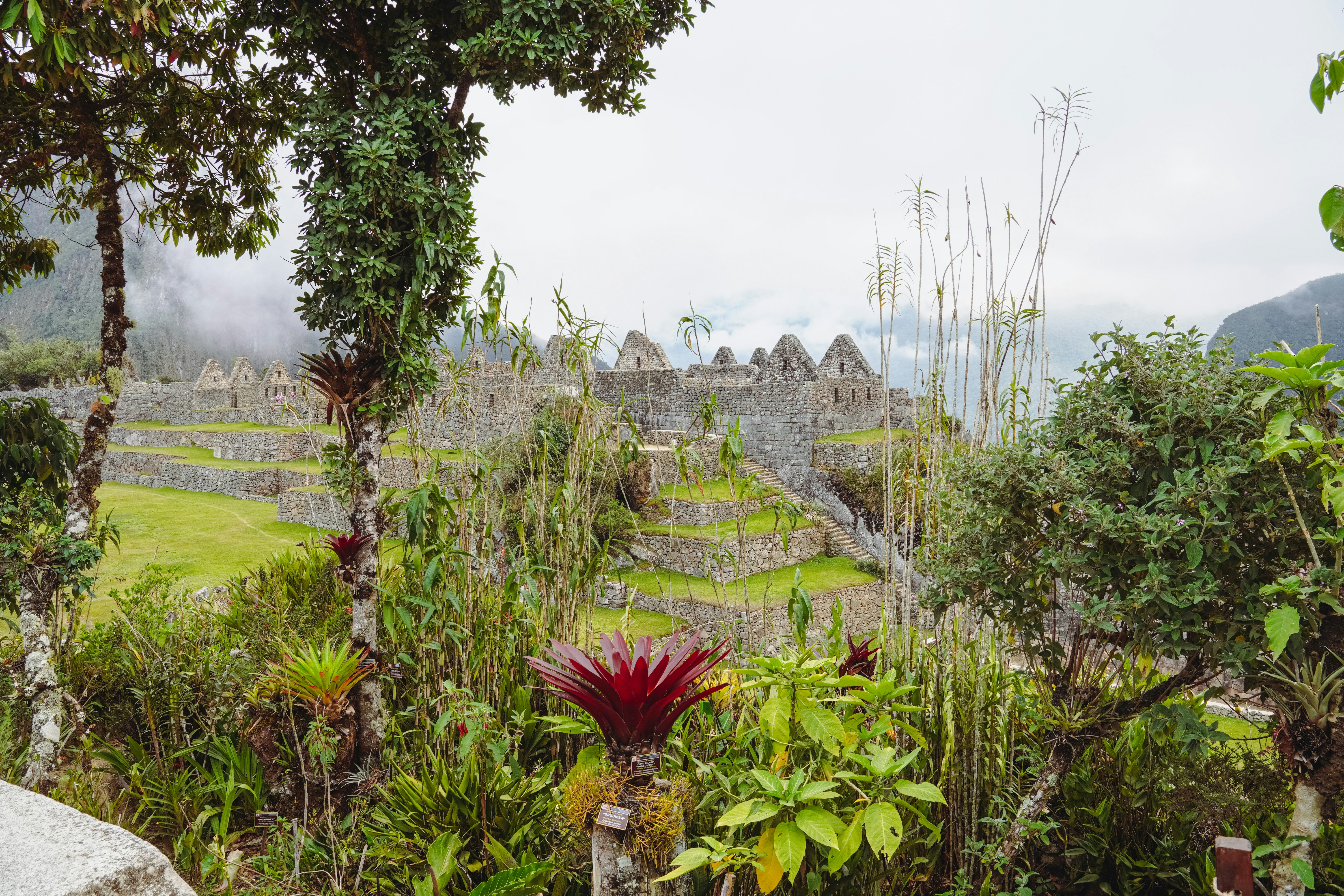 a garden with a stone building in the background