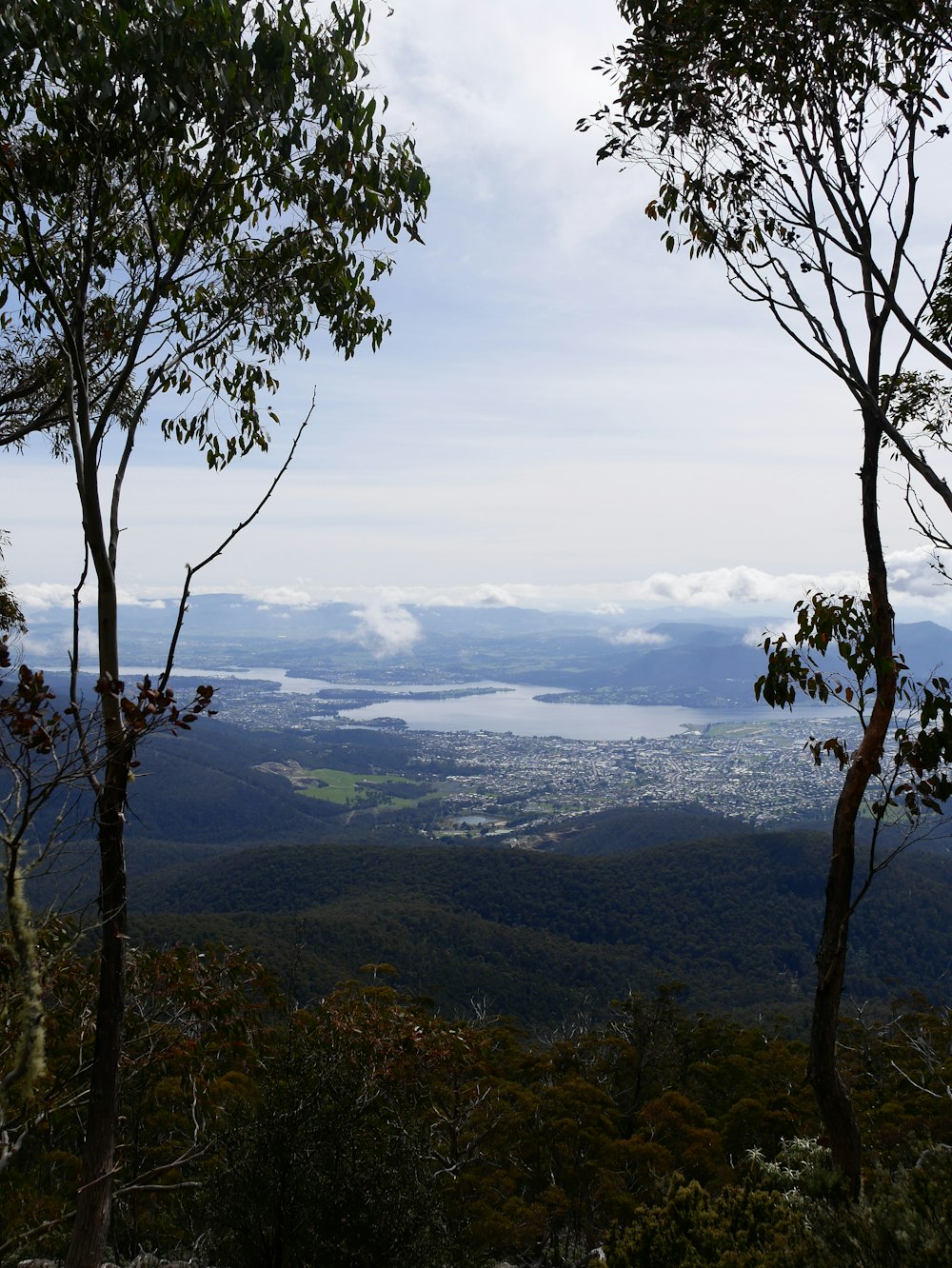 a view of a city from a hill