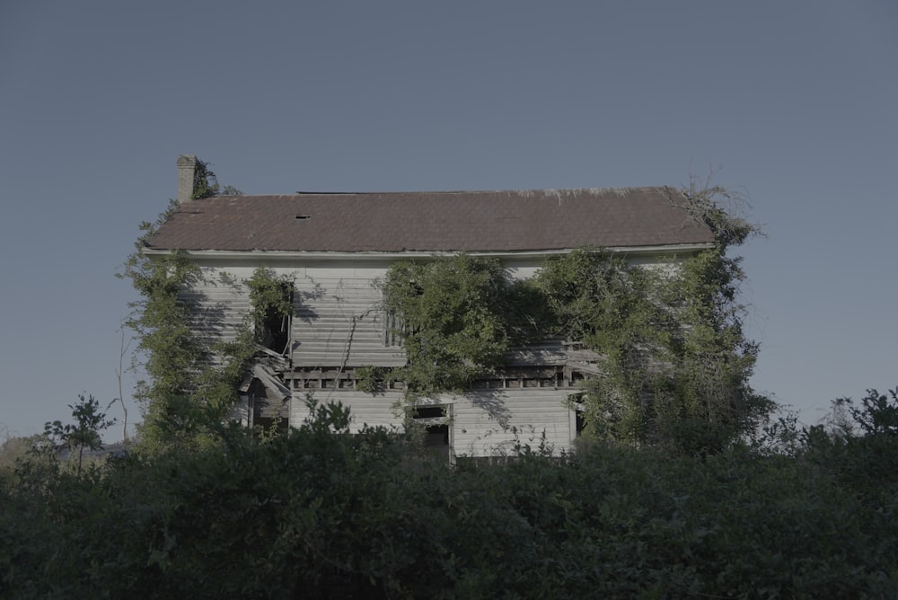 a house surrounded by trees