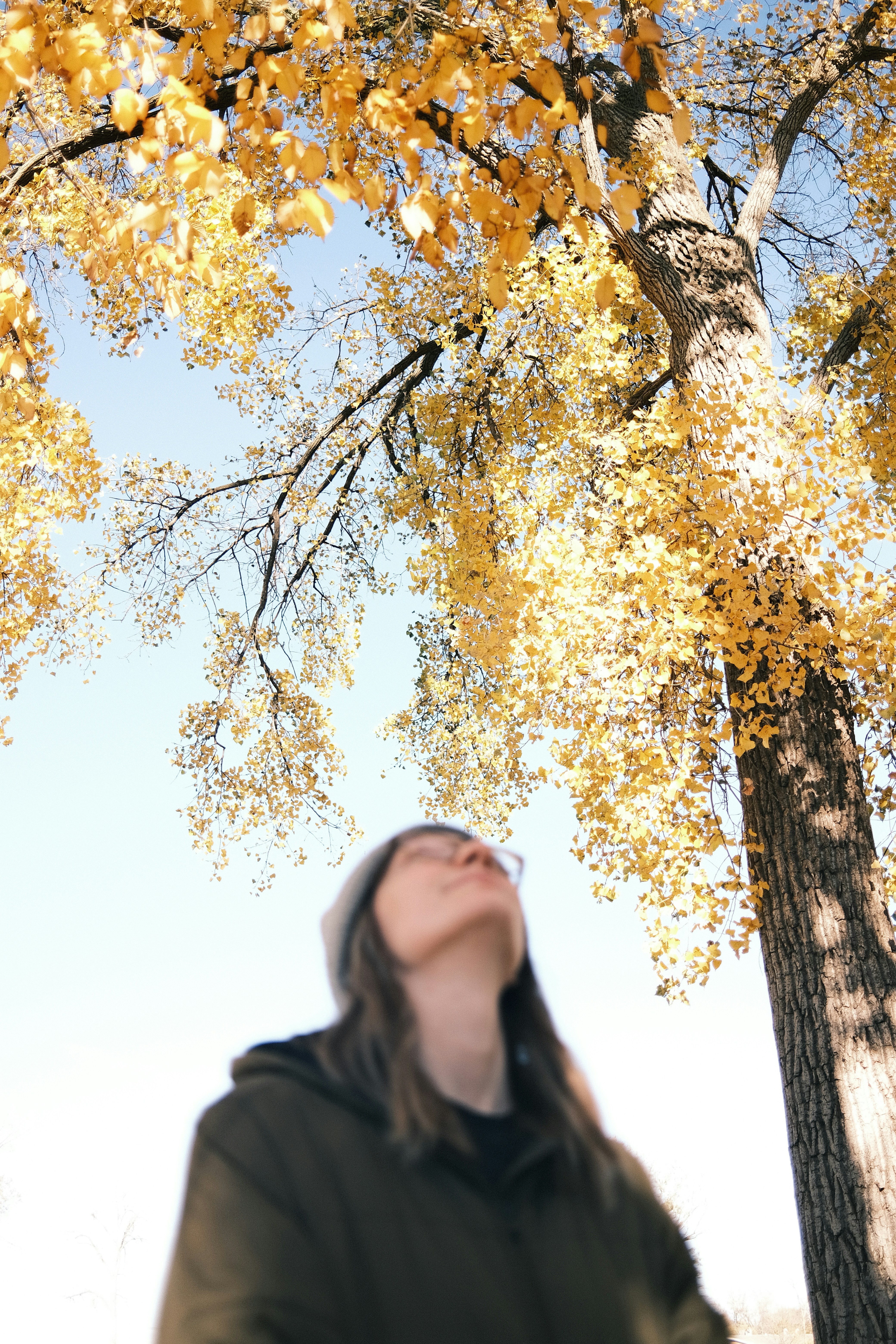 Eine Person, die unter einem Baum steht