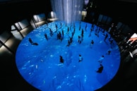 A panoramic view of a community hub where players gather and socialize in VR.