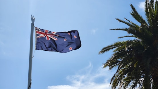 a New Zealand flag on a pole