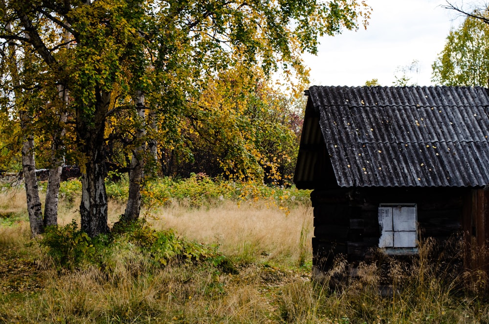 a small wooden building in a forest