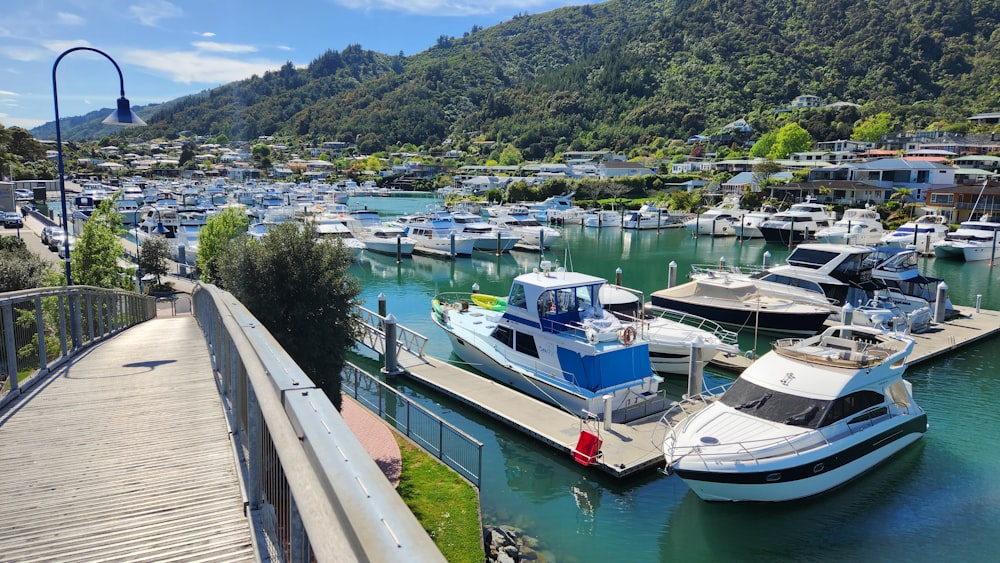 a marina full of boats