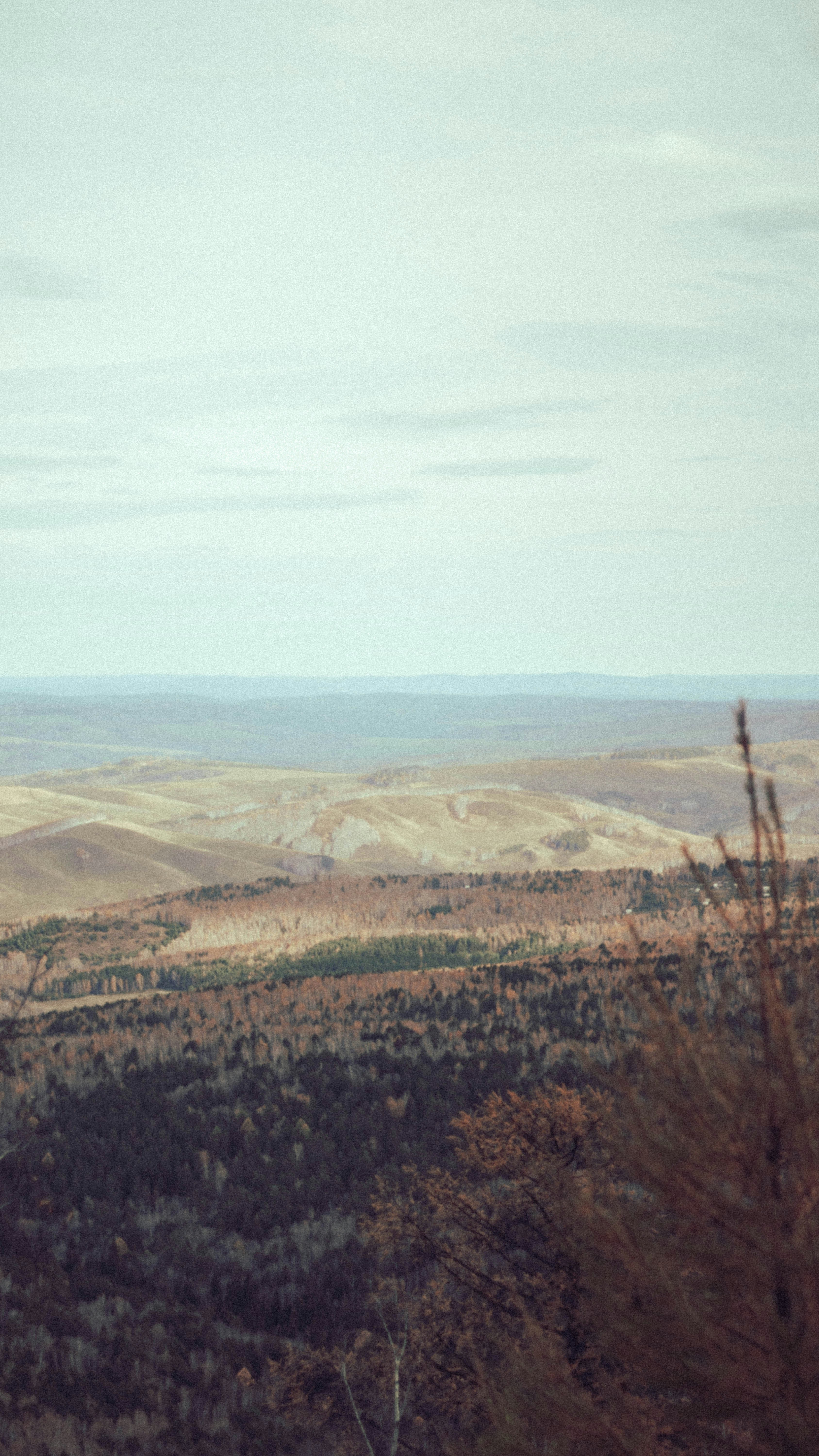 a landscape with trees and hills
