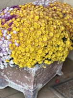 A large, rustic-style FRP planter brimming with colorful seasonal blooms.