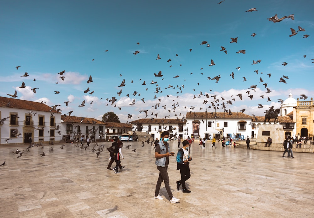 a group of people flying kites