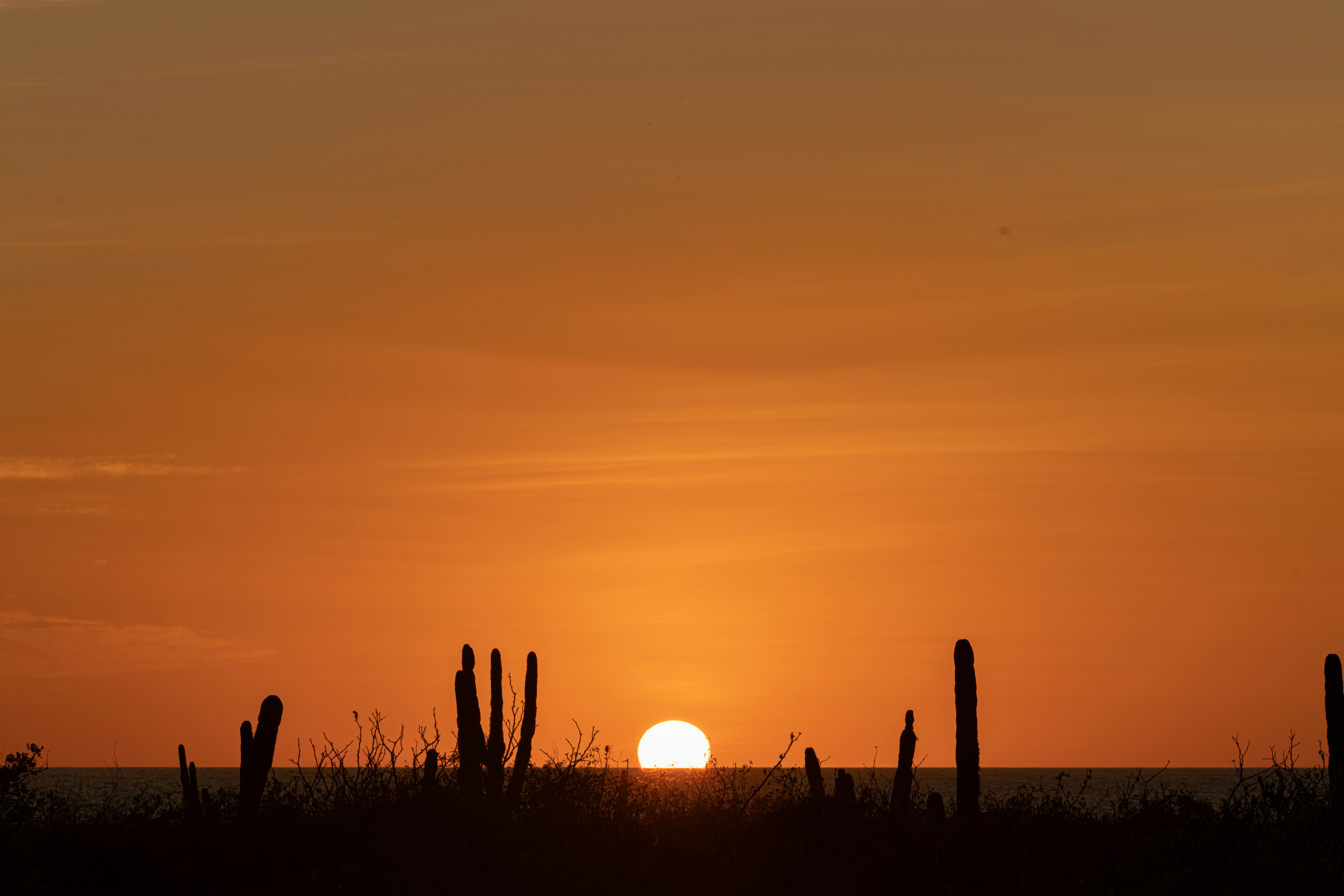 Photo by joshwithers