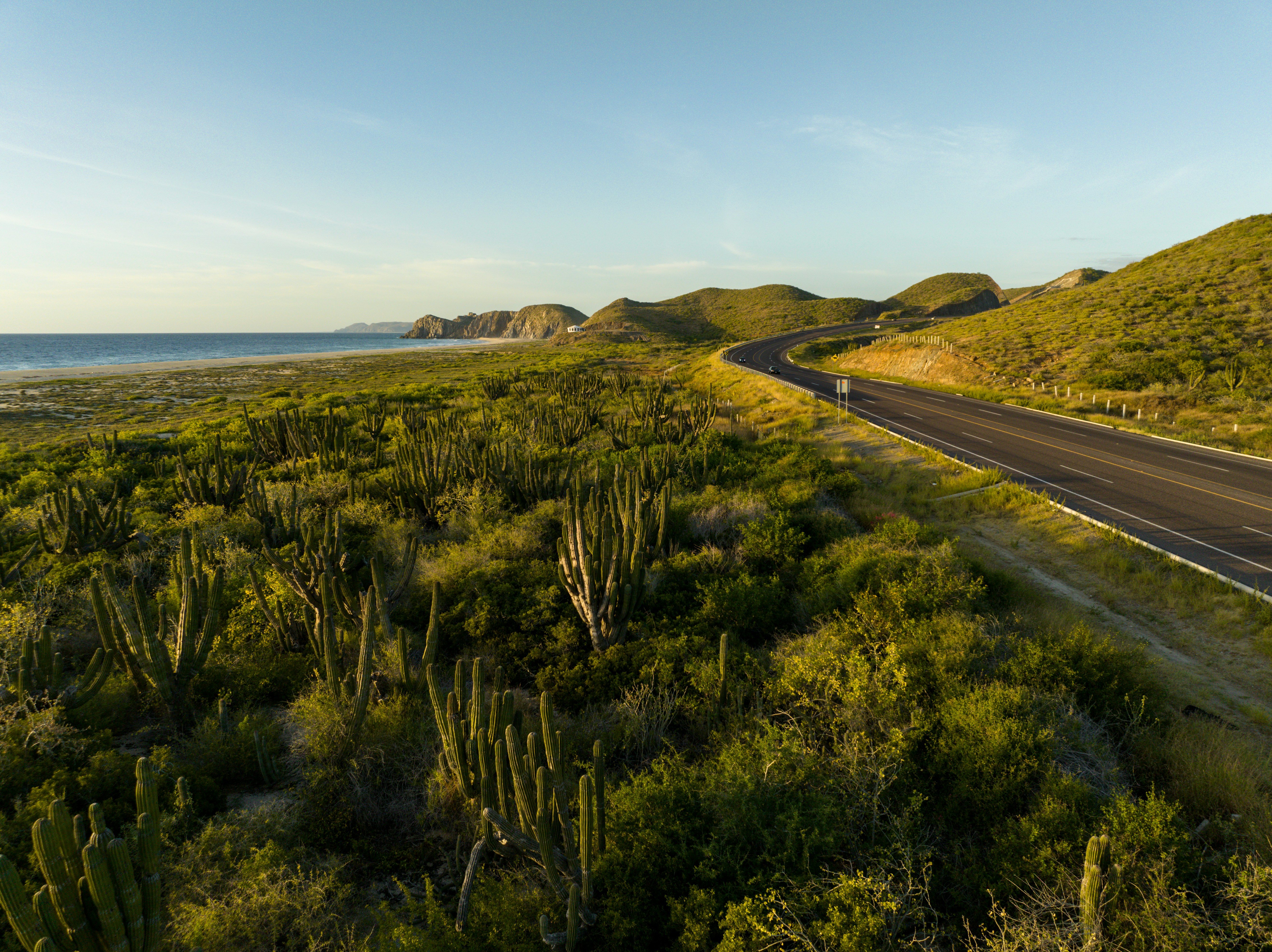 Baja California Sur, Mexico - None