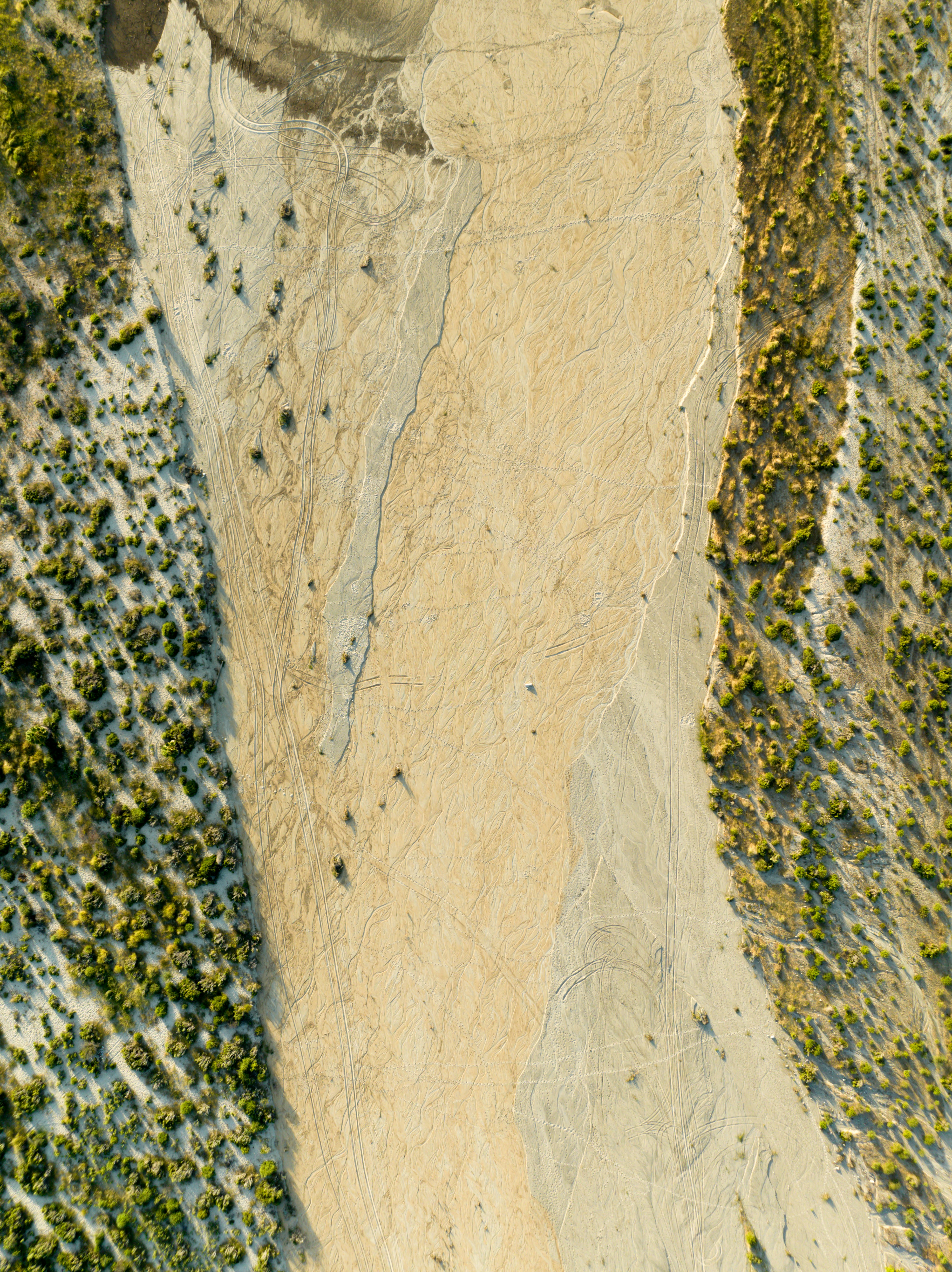 a close-up of a rock