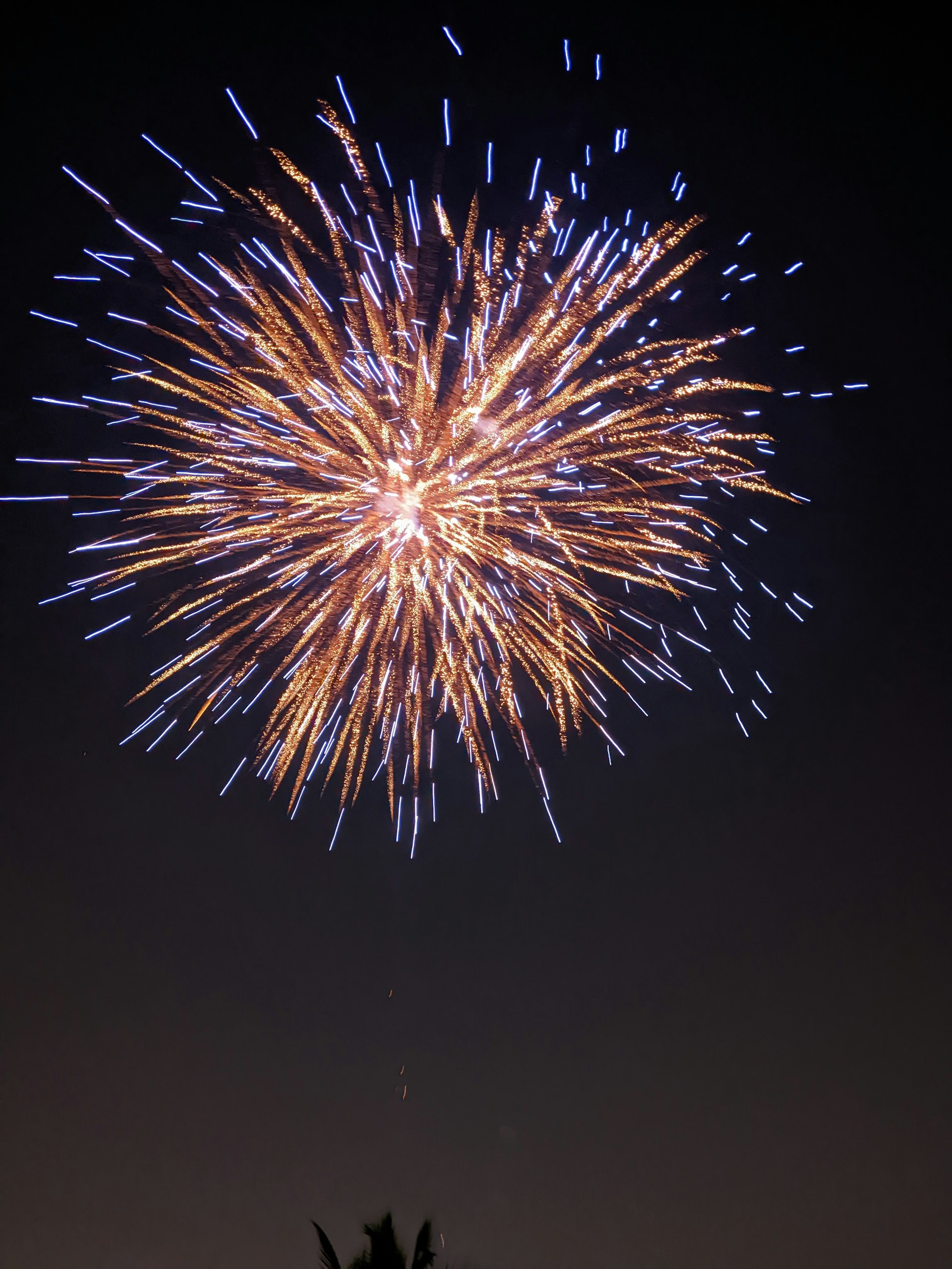 a firework in the sky