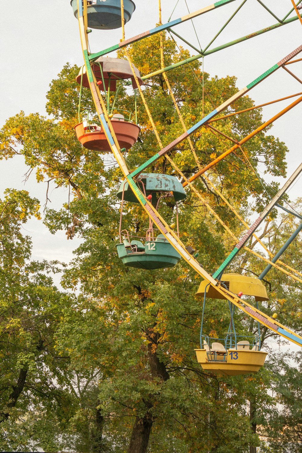 a ferris wheel with trees around it