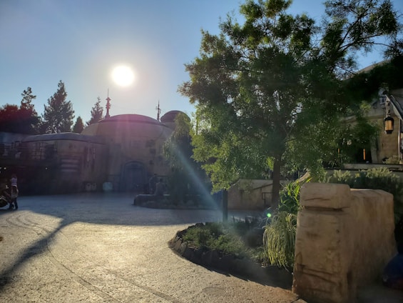 Cozy hotel courtyard with natural stone walls and soft golden sunlight filtering through leafy trees.