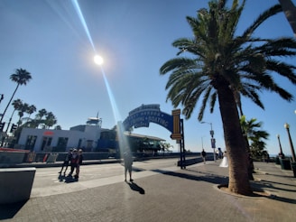 A daytime scene featuring the entrance to a pier with palm trees lining the walkway. The sky is clear and the sun is prominently visible, casting shadows on the pavement. People are walking around, enjoying the sunny weather. The sign prominently displays the words 'Santa Monica Yacht Harbor Sport Fishing Boating Cafes'.