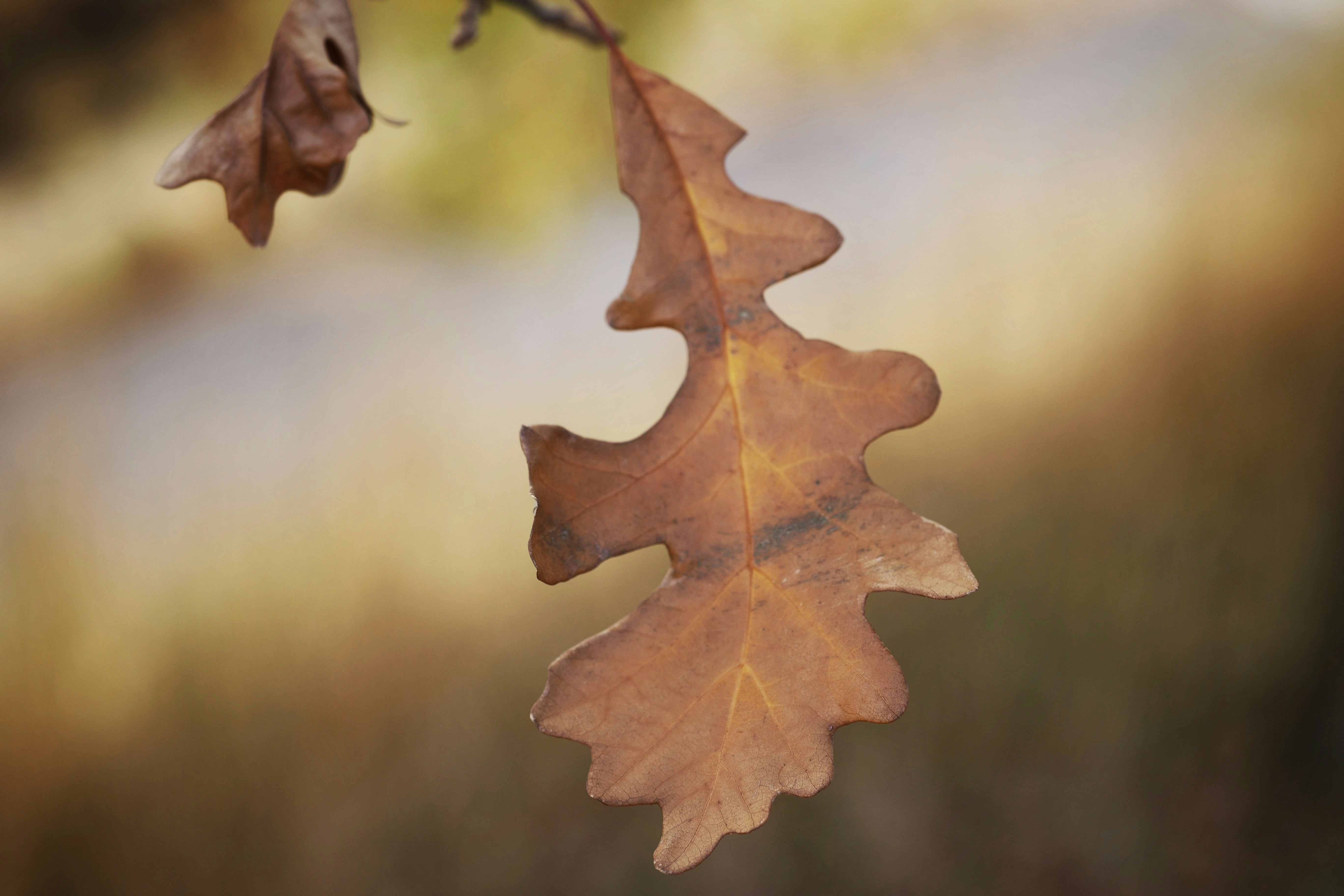 Photo by joshua_hoehne