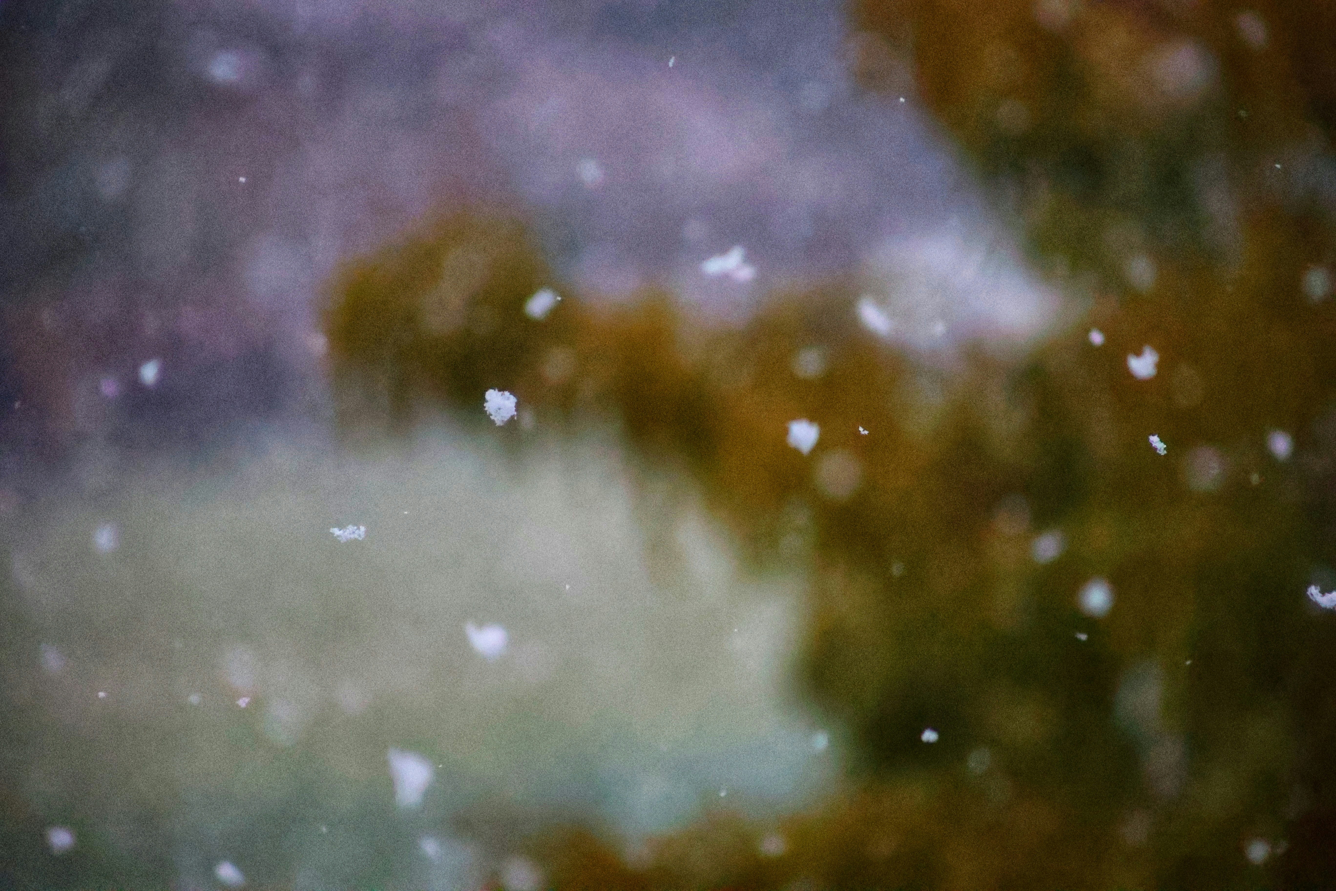 Photo by joshua_hoehne