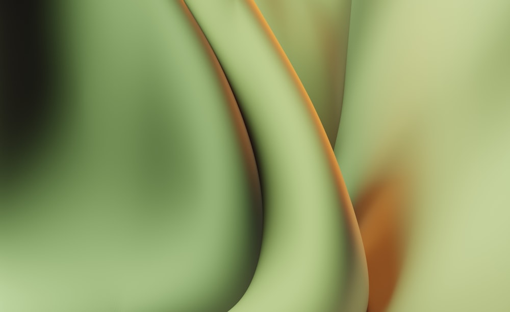 a close up of a plant