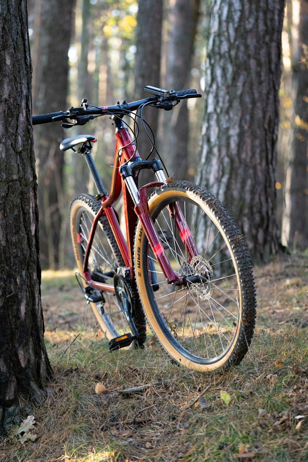 a bicycle parked in a wooded area