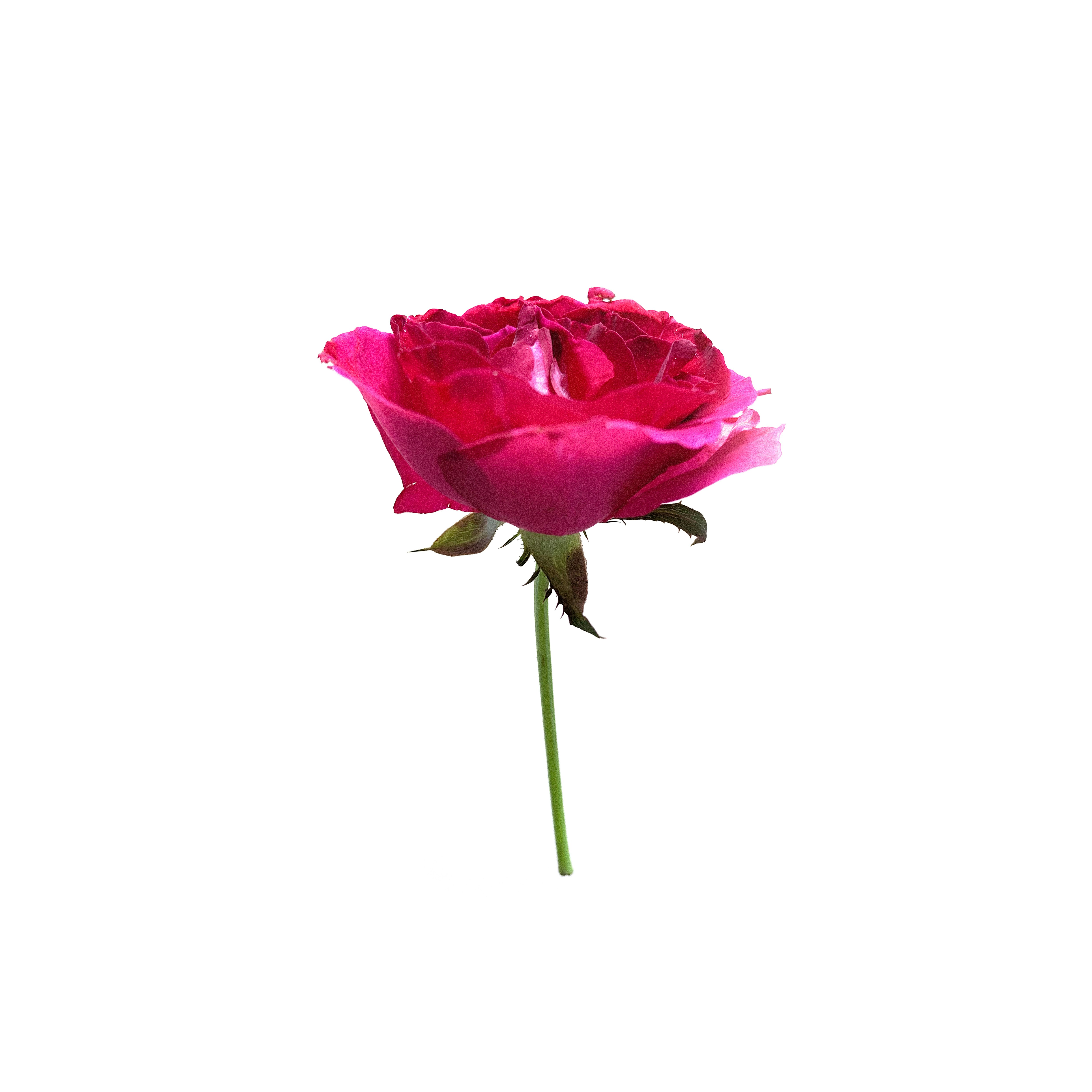 Photo by akshar_dave