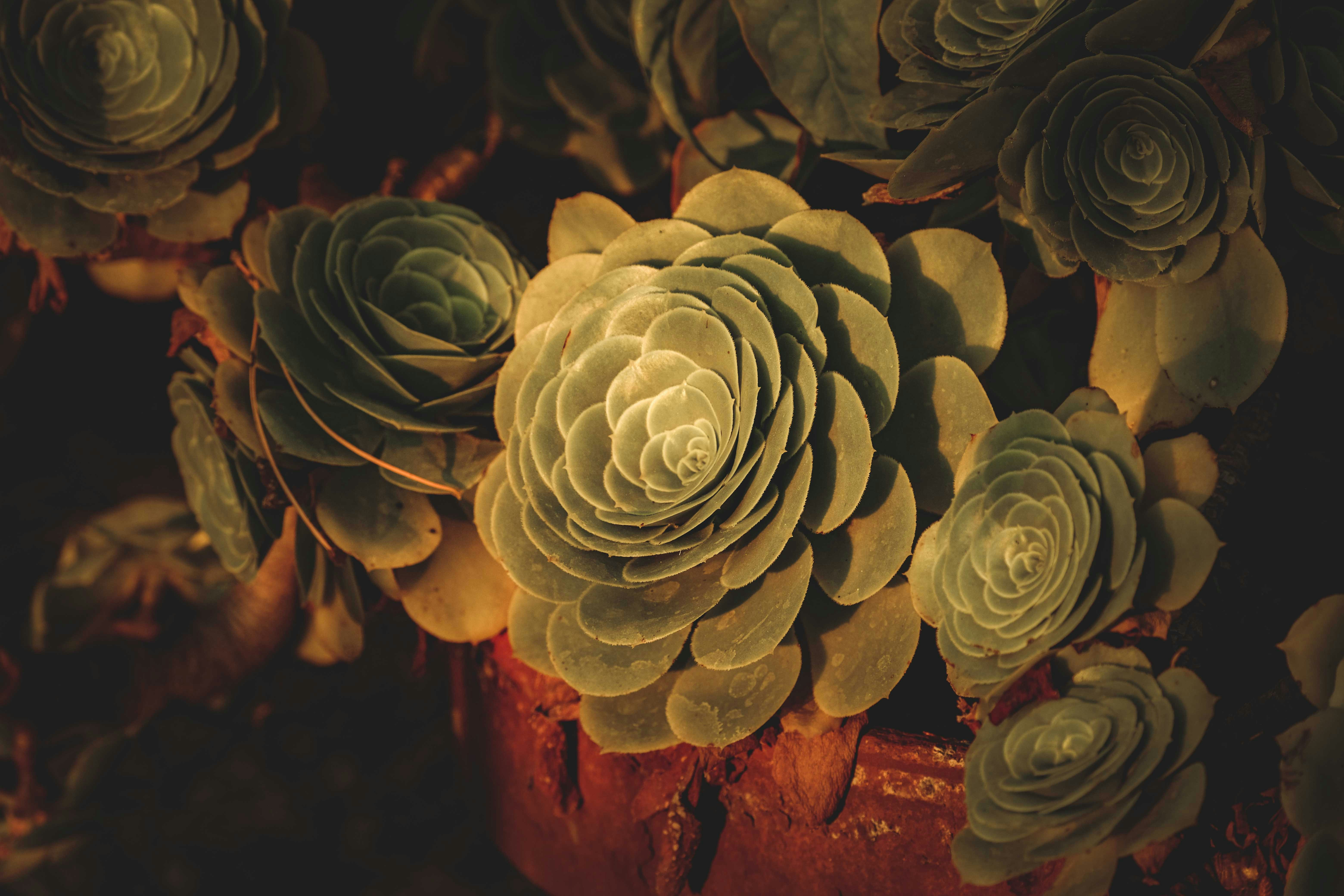 Photo by francesco_ungaro