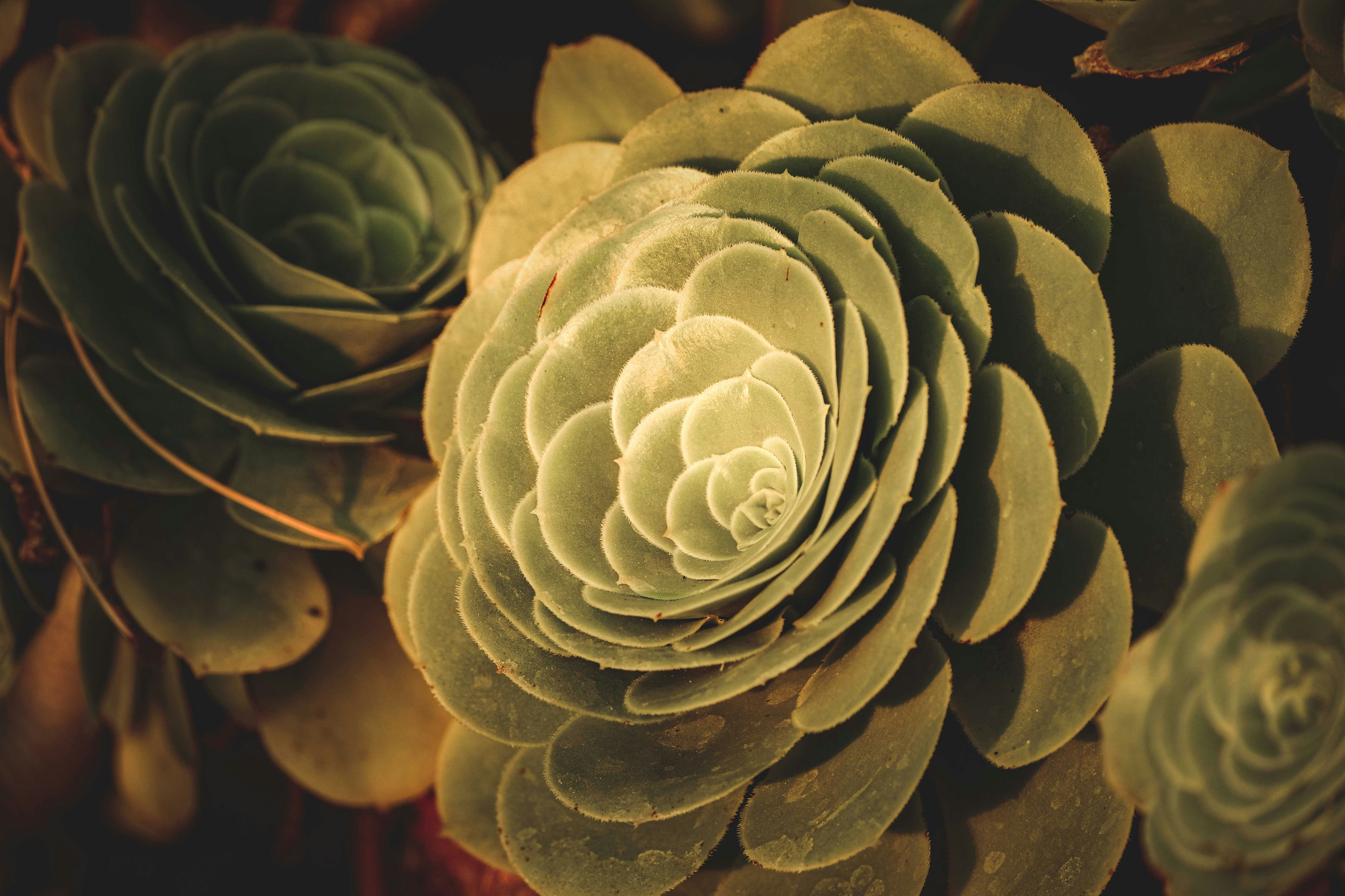 Photo by francesco_ungaro