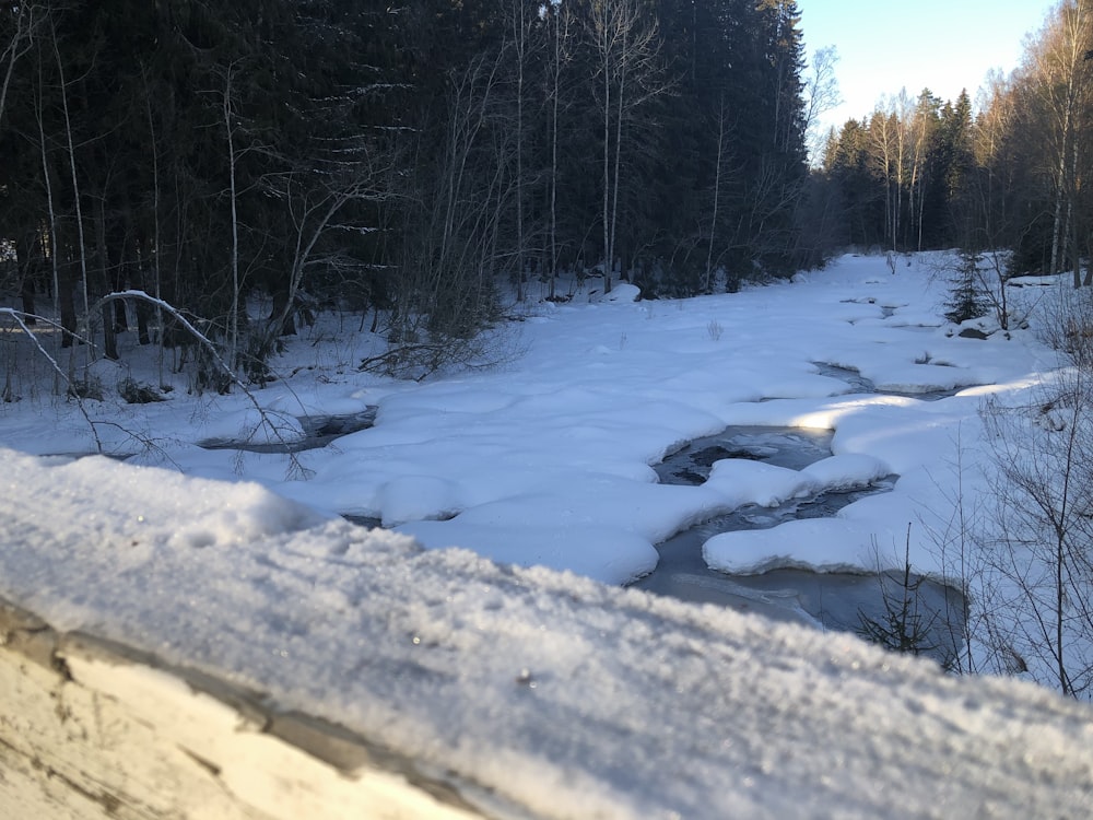 a snowy landscape with trees