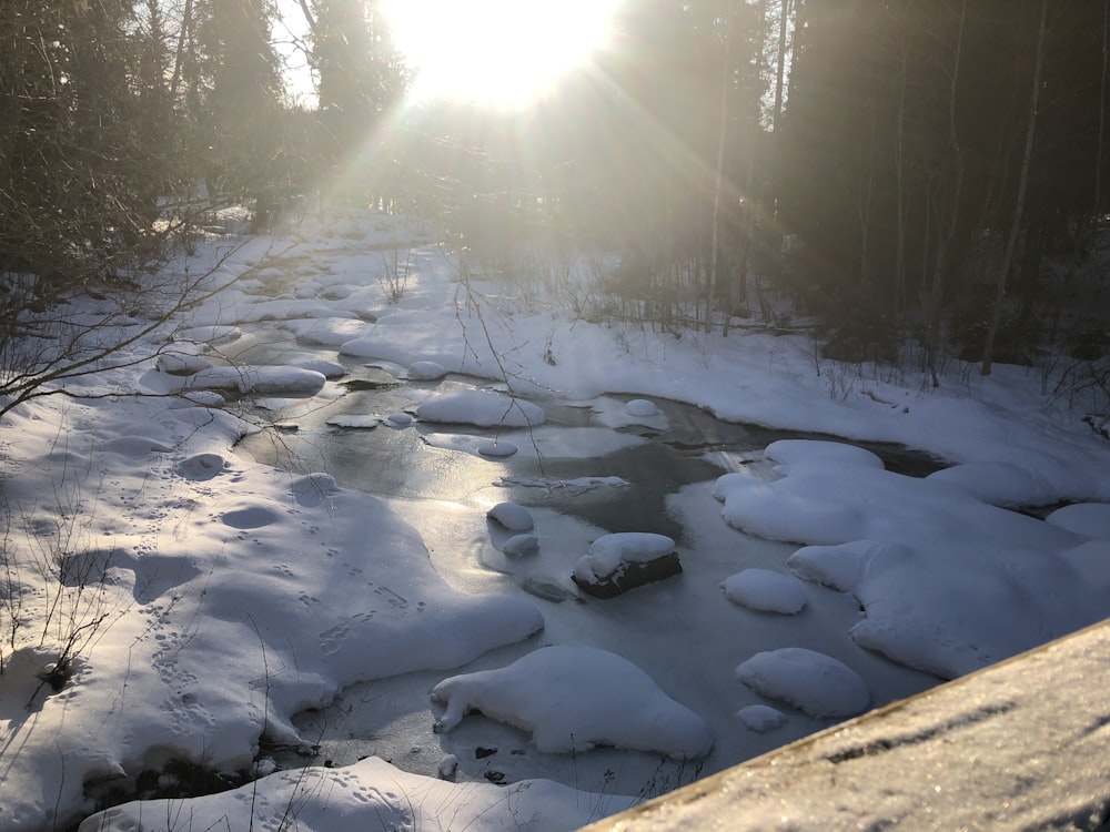 a snowy river with trees on either side of it