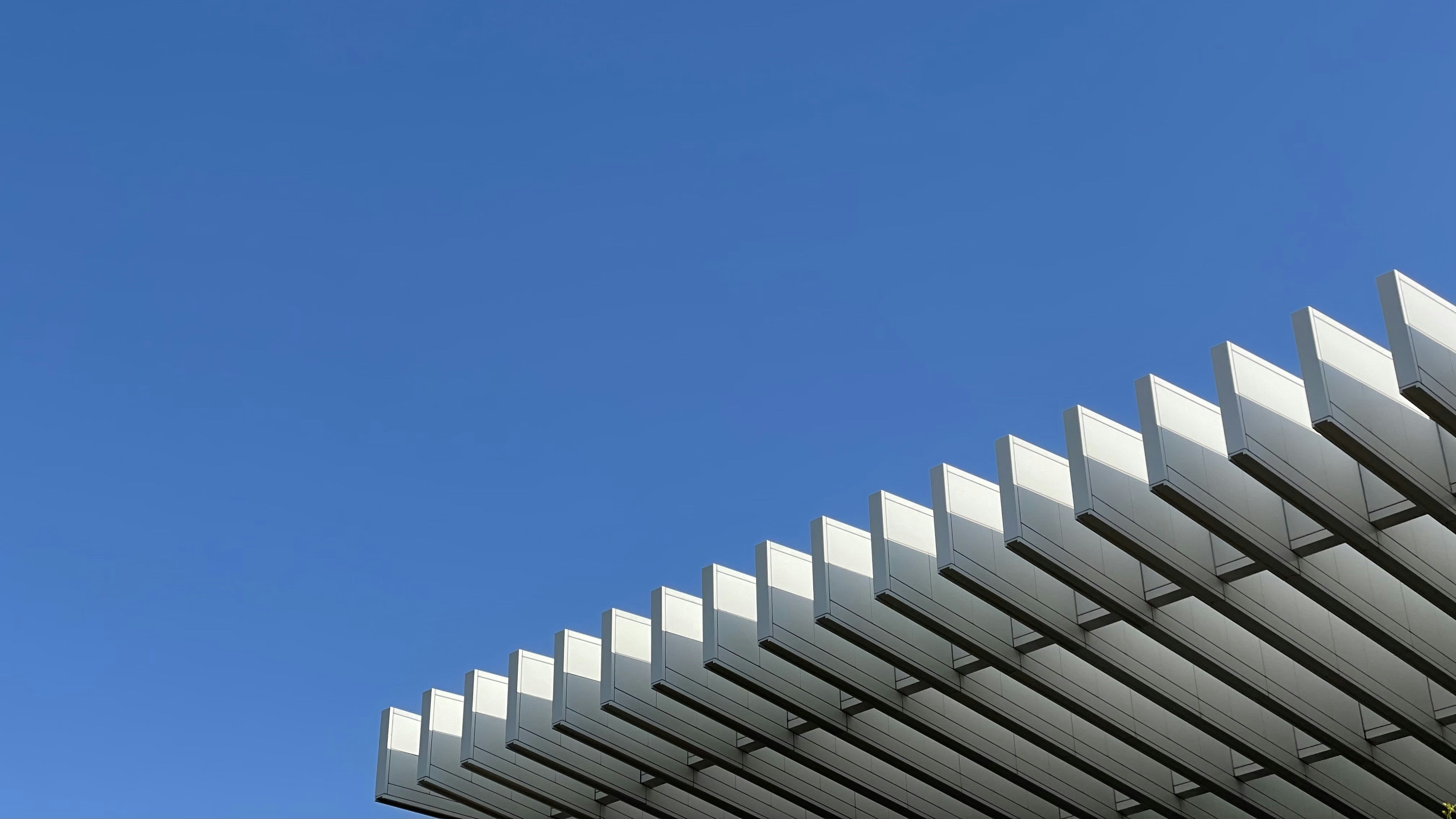 Photo by jiahaoliang