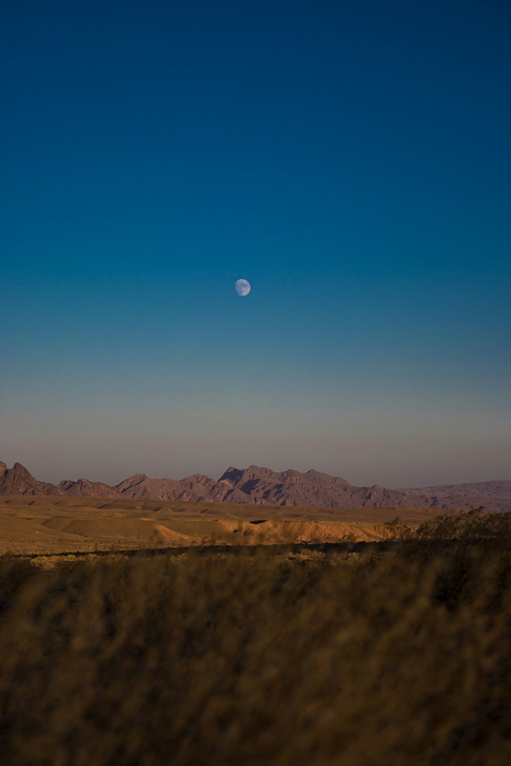 a desert landscape with a moon in the sky