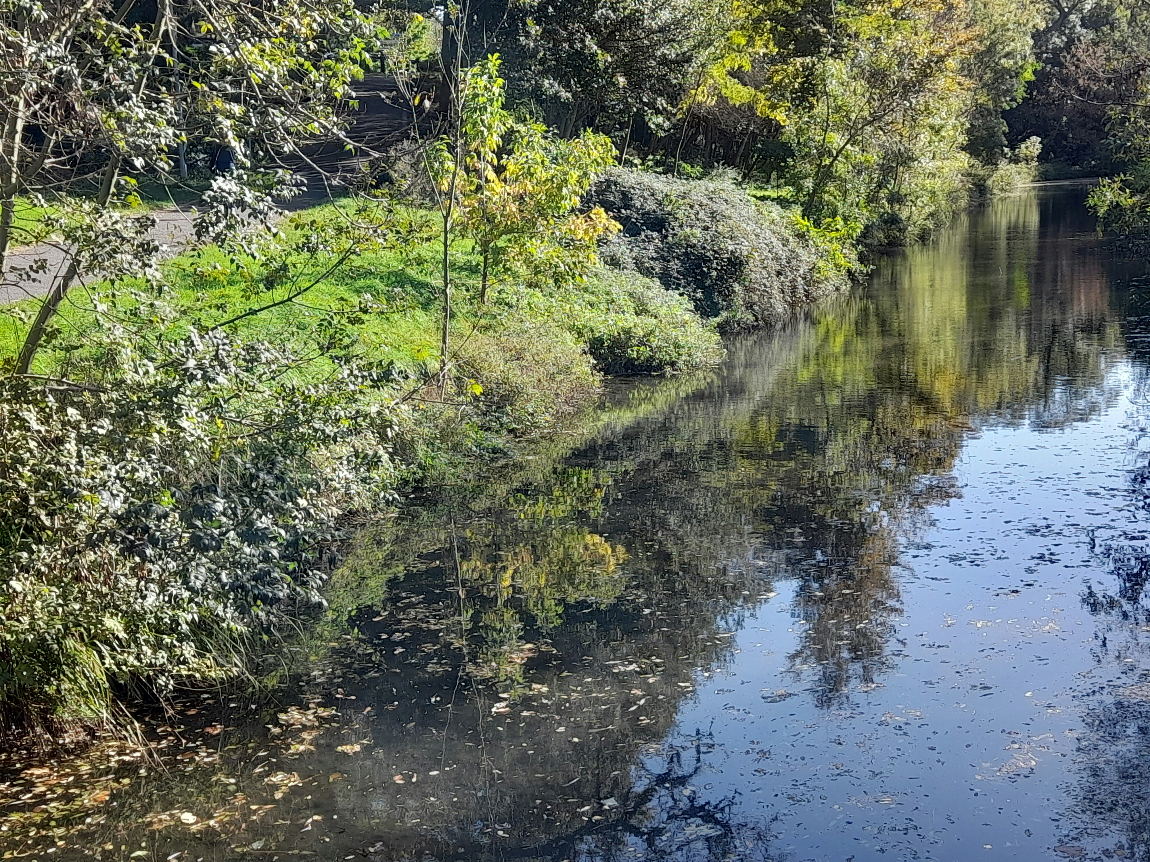 Canal du Midi tree-lined waterway, reflections in calm water, warm afternoon light, cyclists on towpath