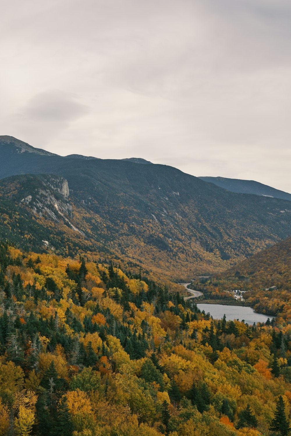 a lake surrounded by trees and mountains